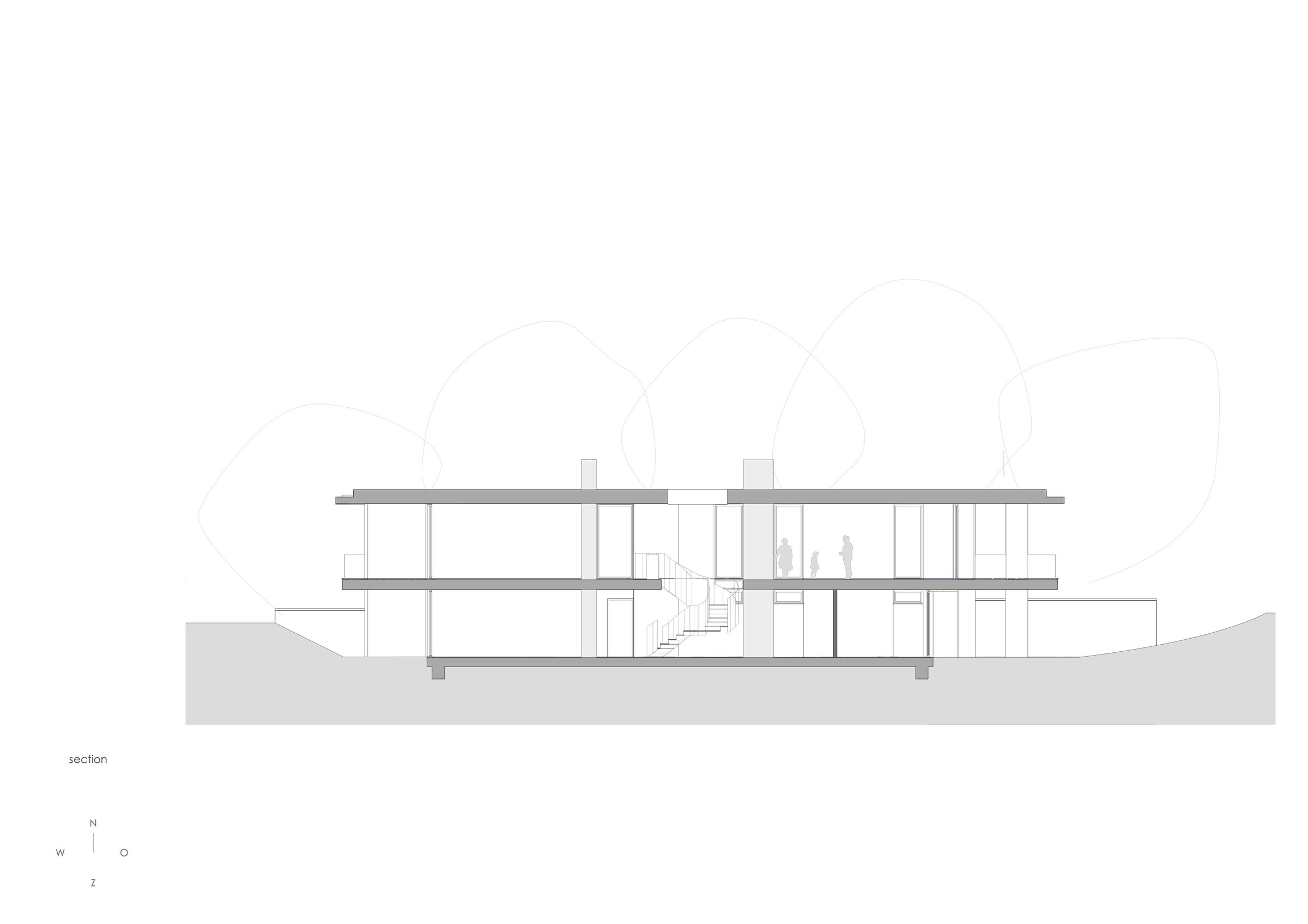 section