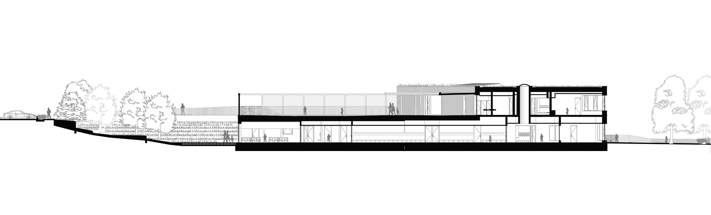 section