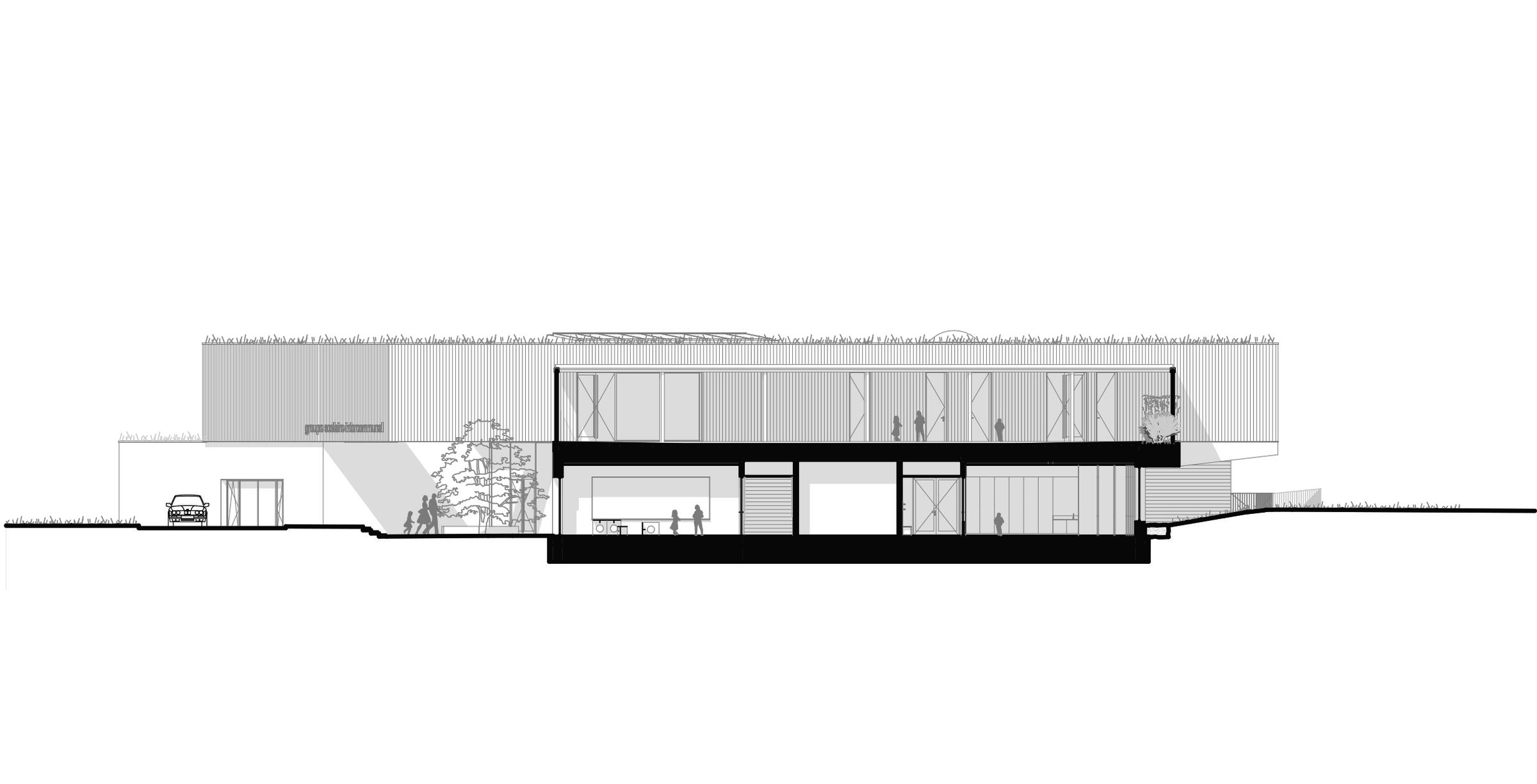 section