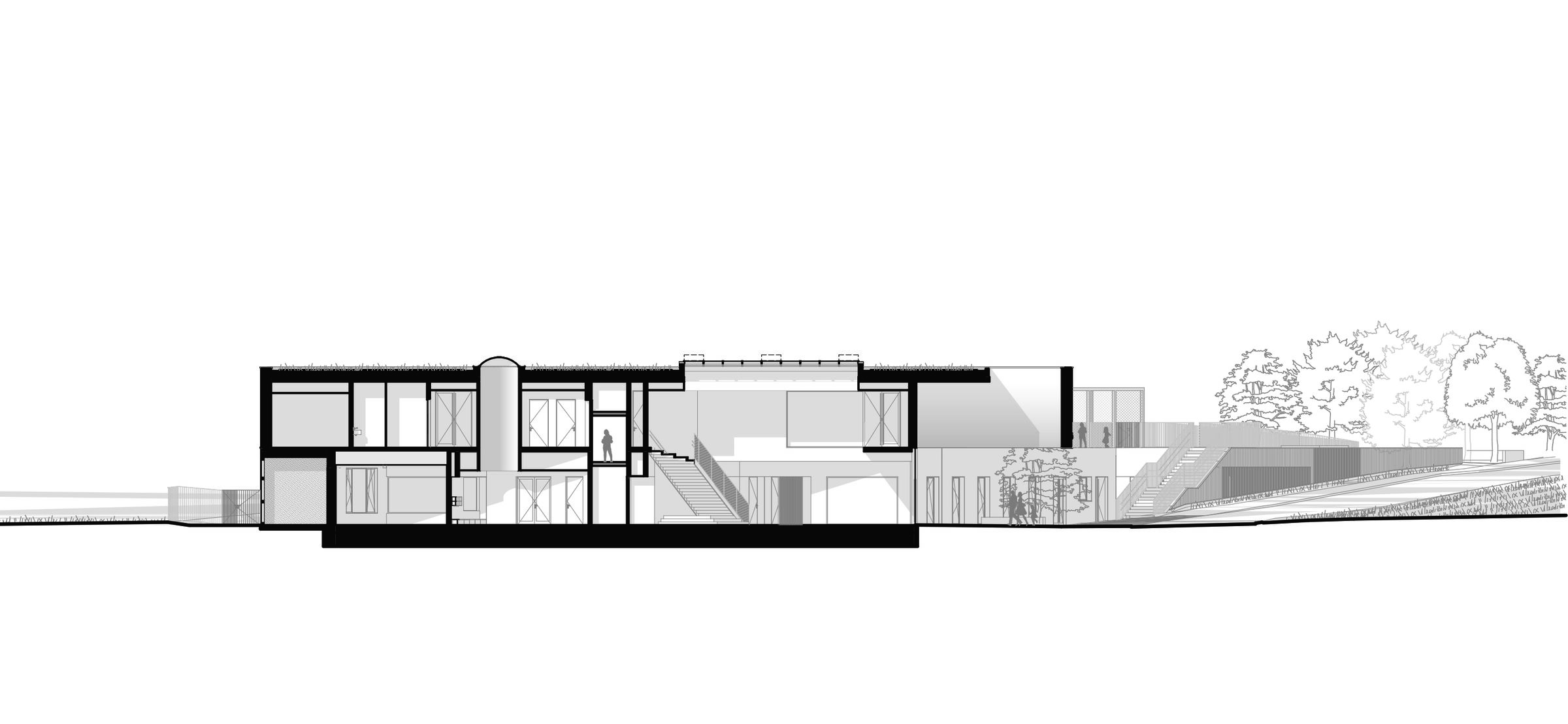 section
