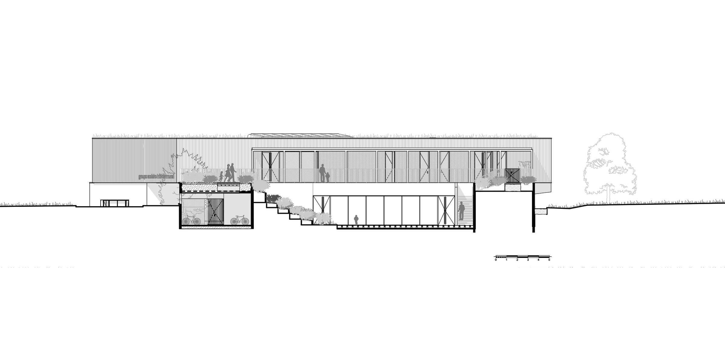 north elevation and section through orchard