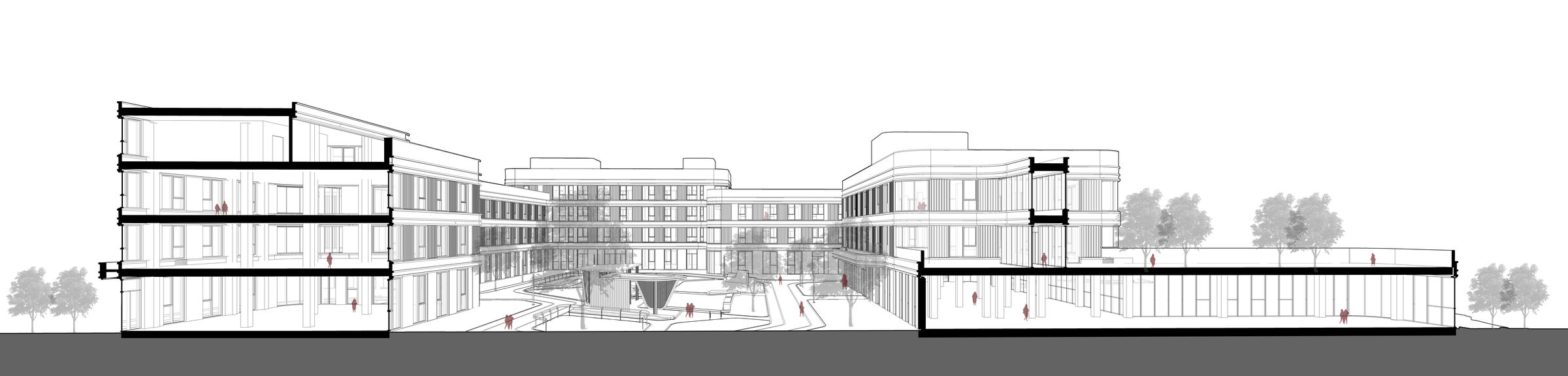 Section perspective