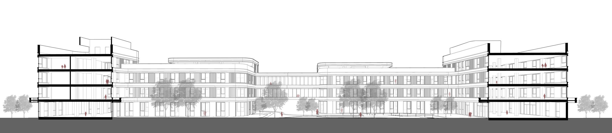 Section perspective