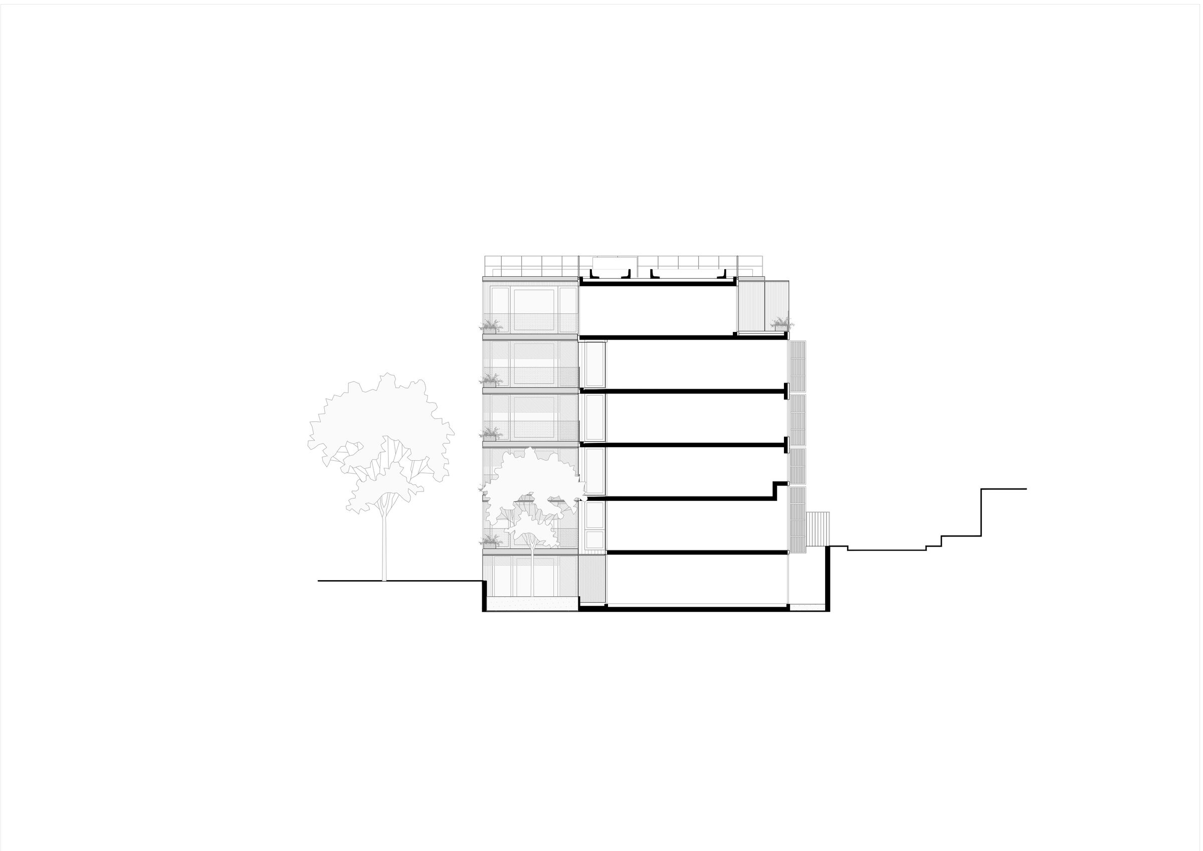 Section