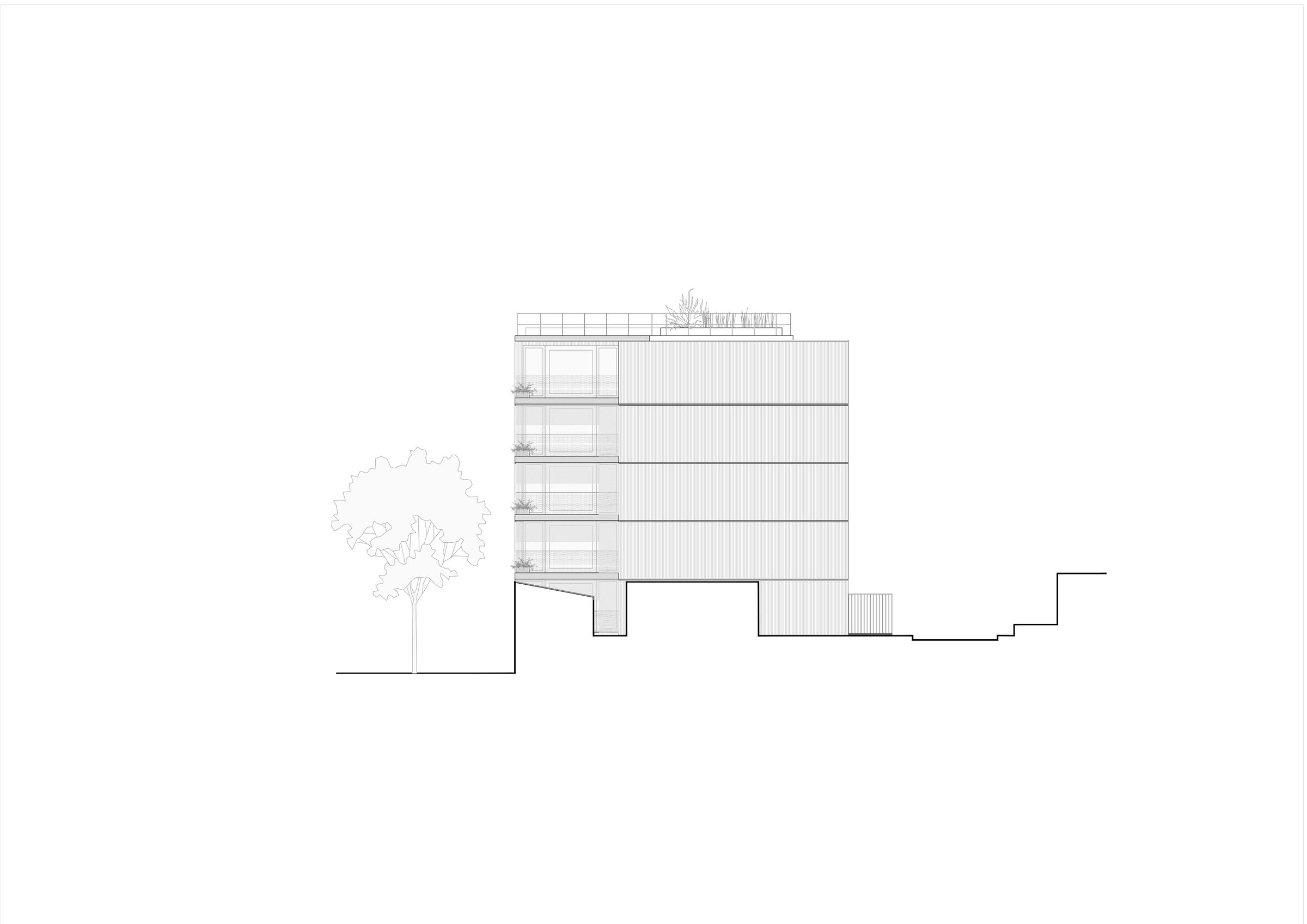 Elevation