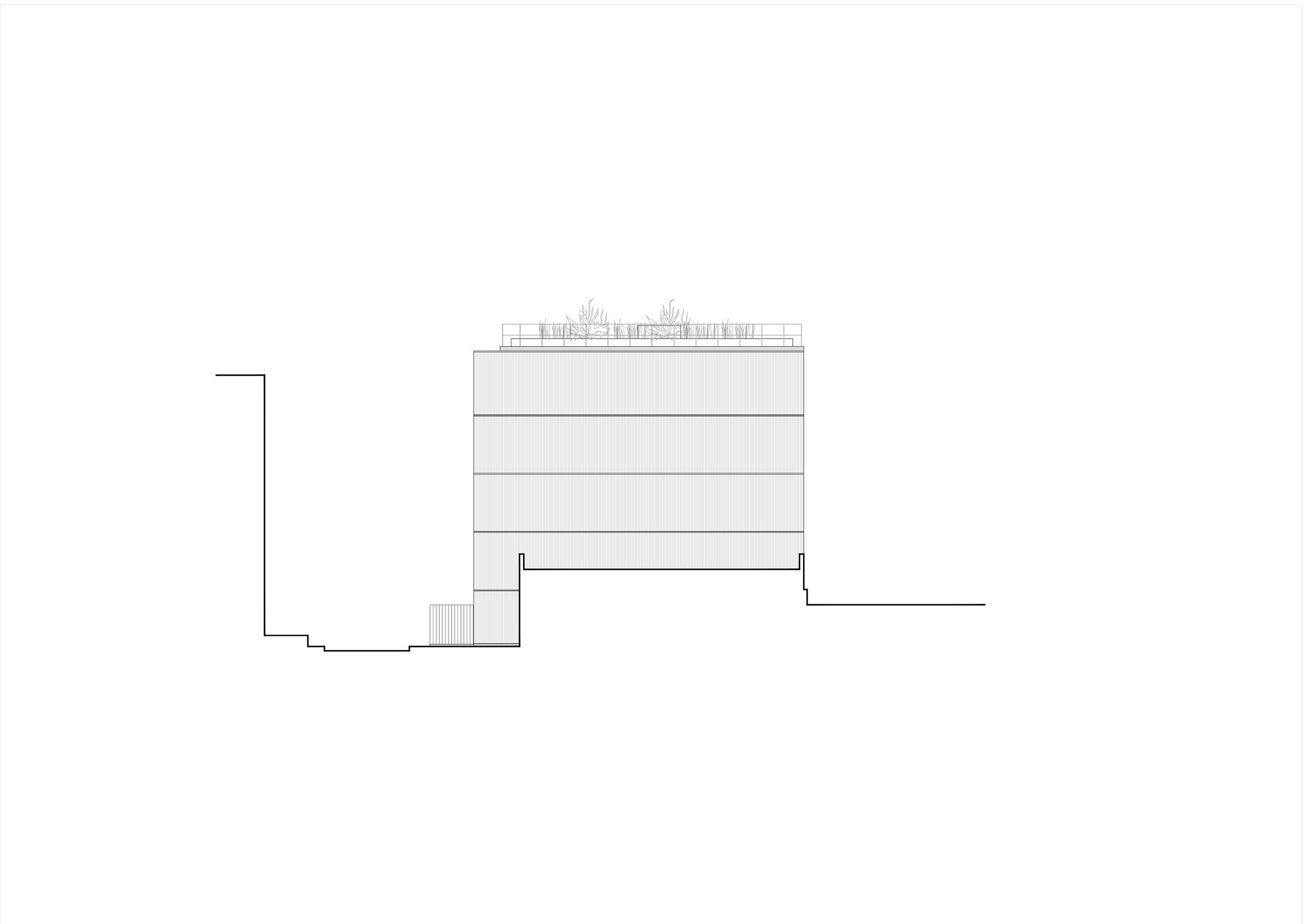 Elevation