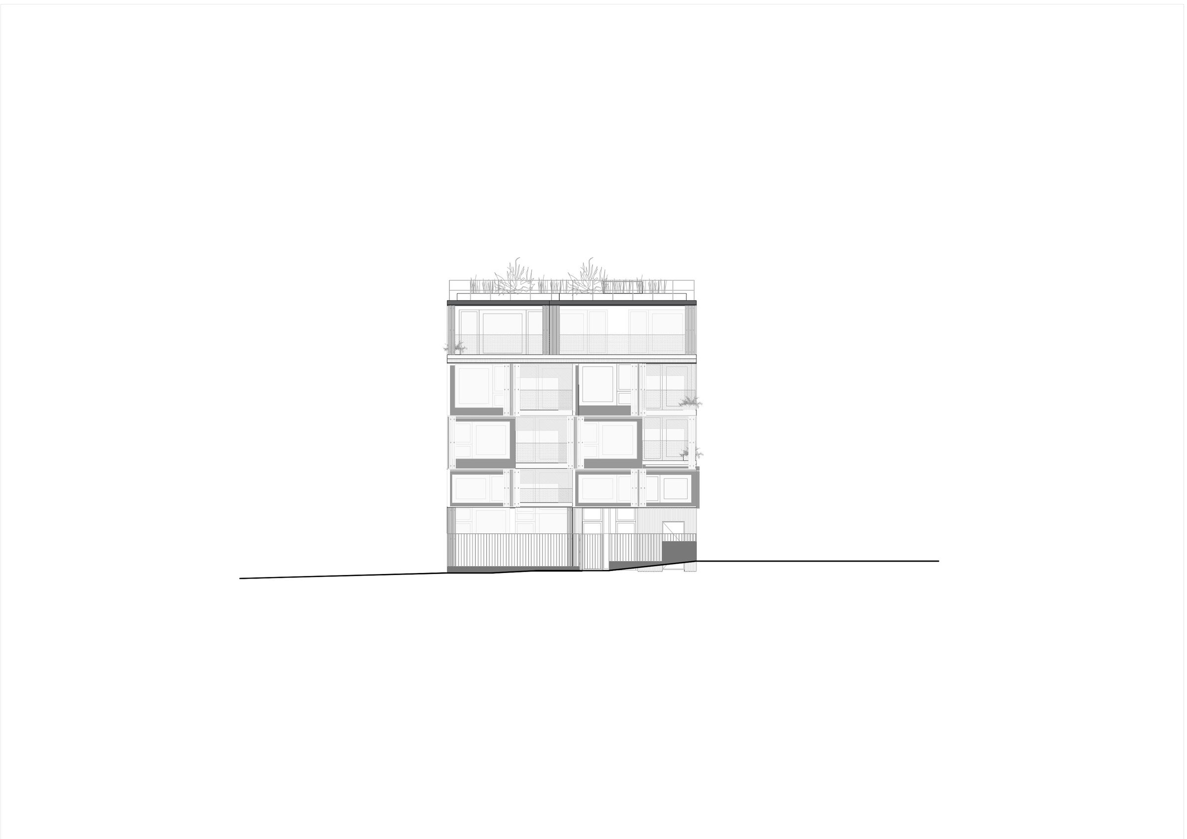 Elevation