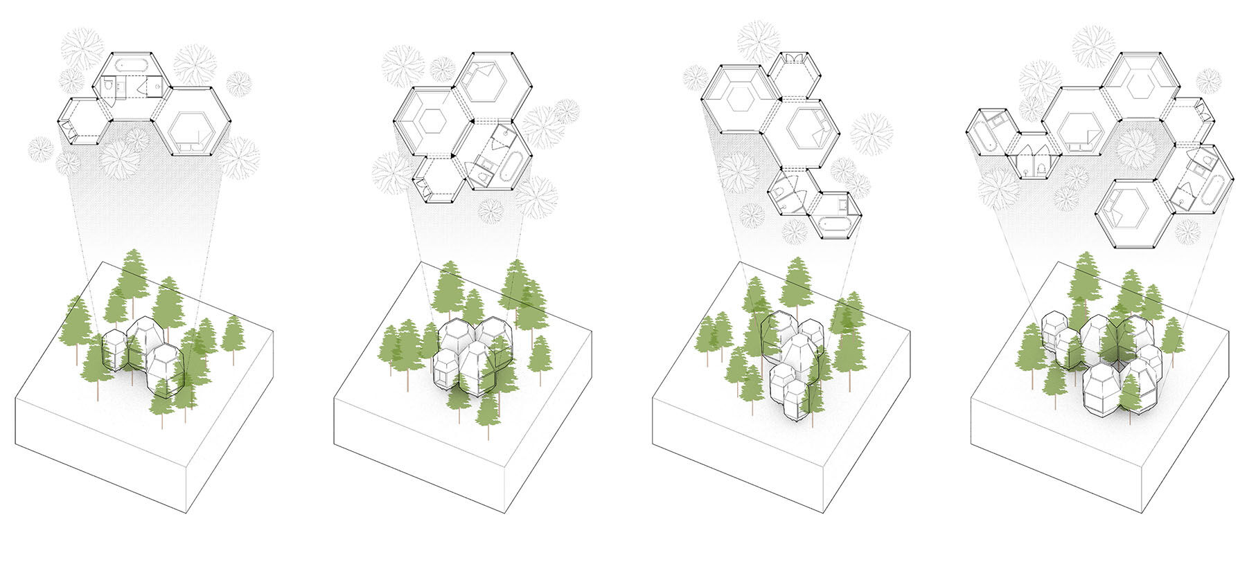 Pinecone Cabin Adapted to the Site