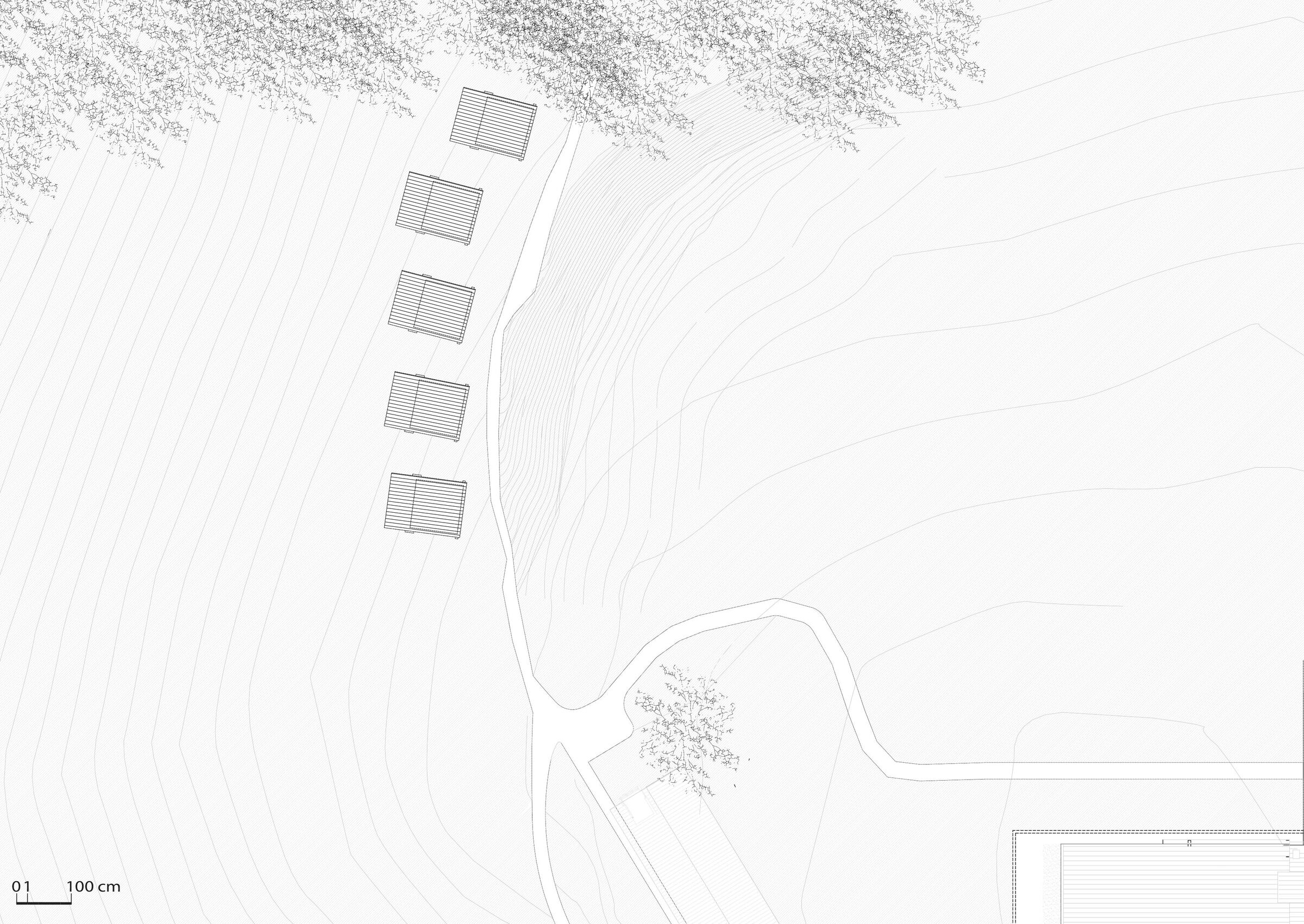 General plan