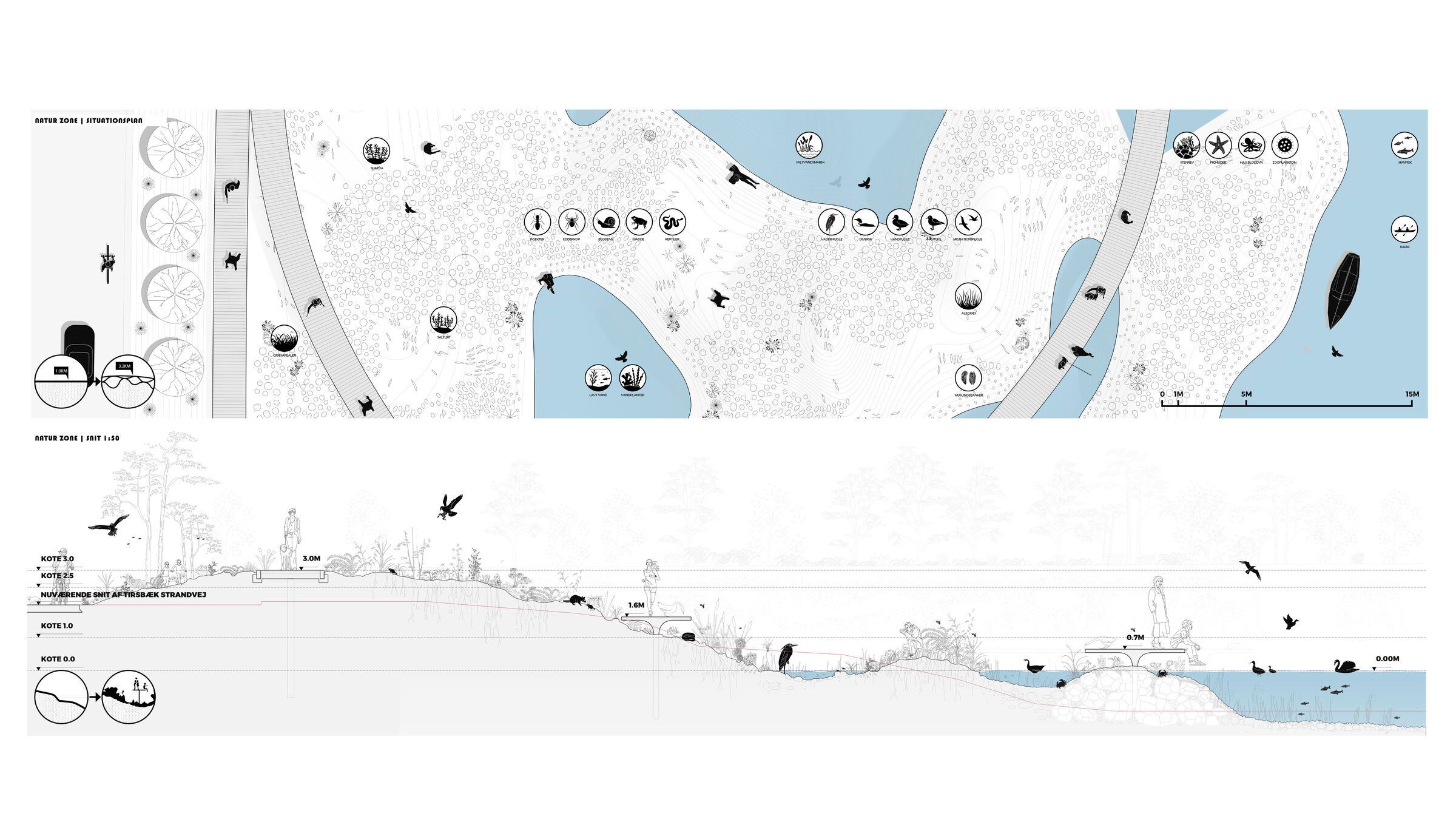 Topography levels