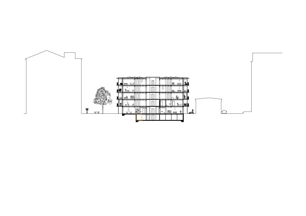 section