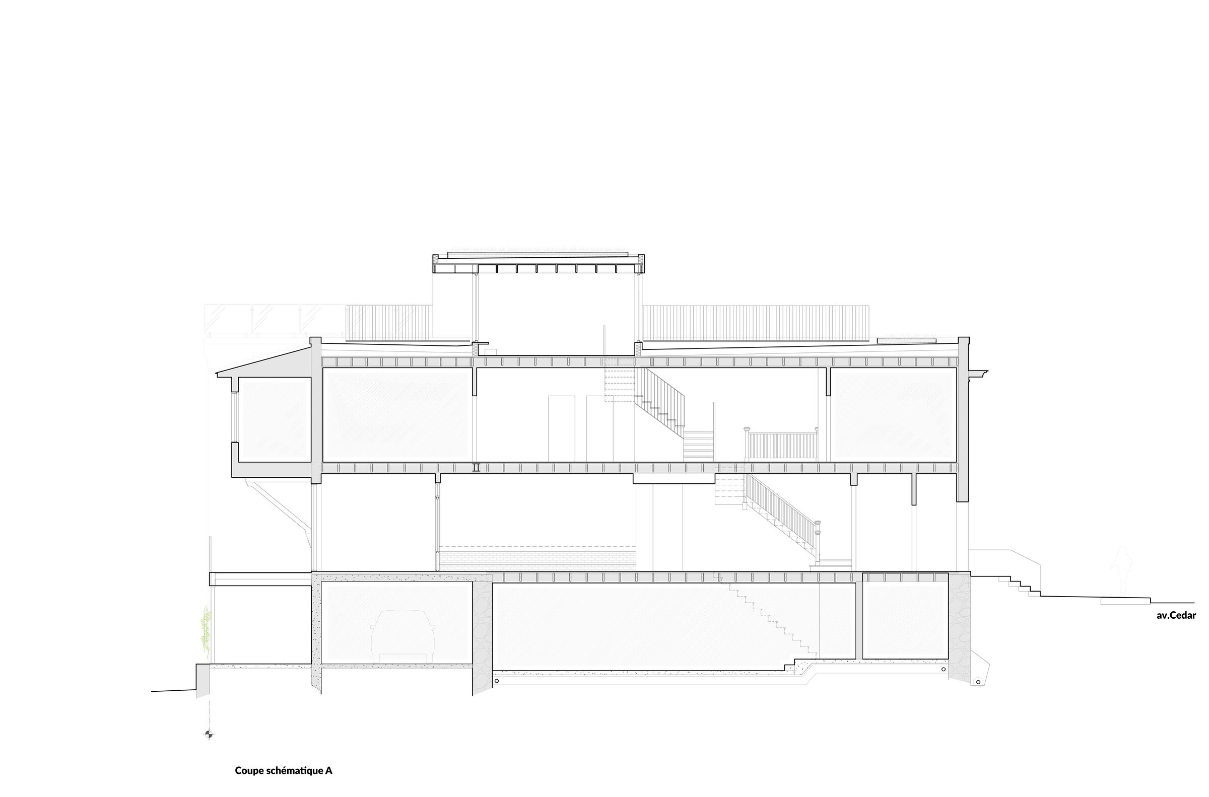 Residence CEDAR_Section