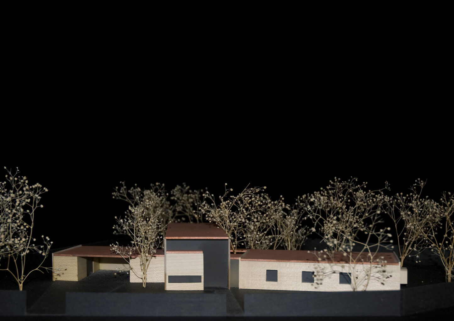 Wood model