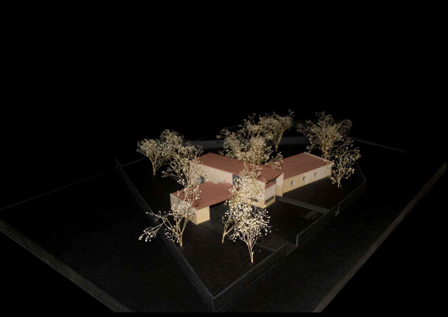 Wood model
