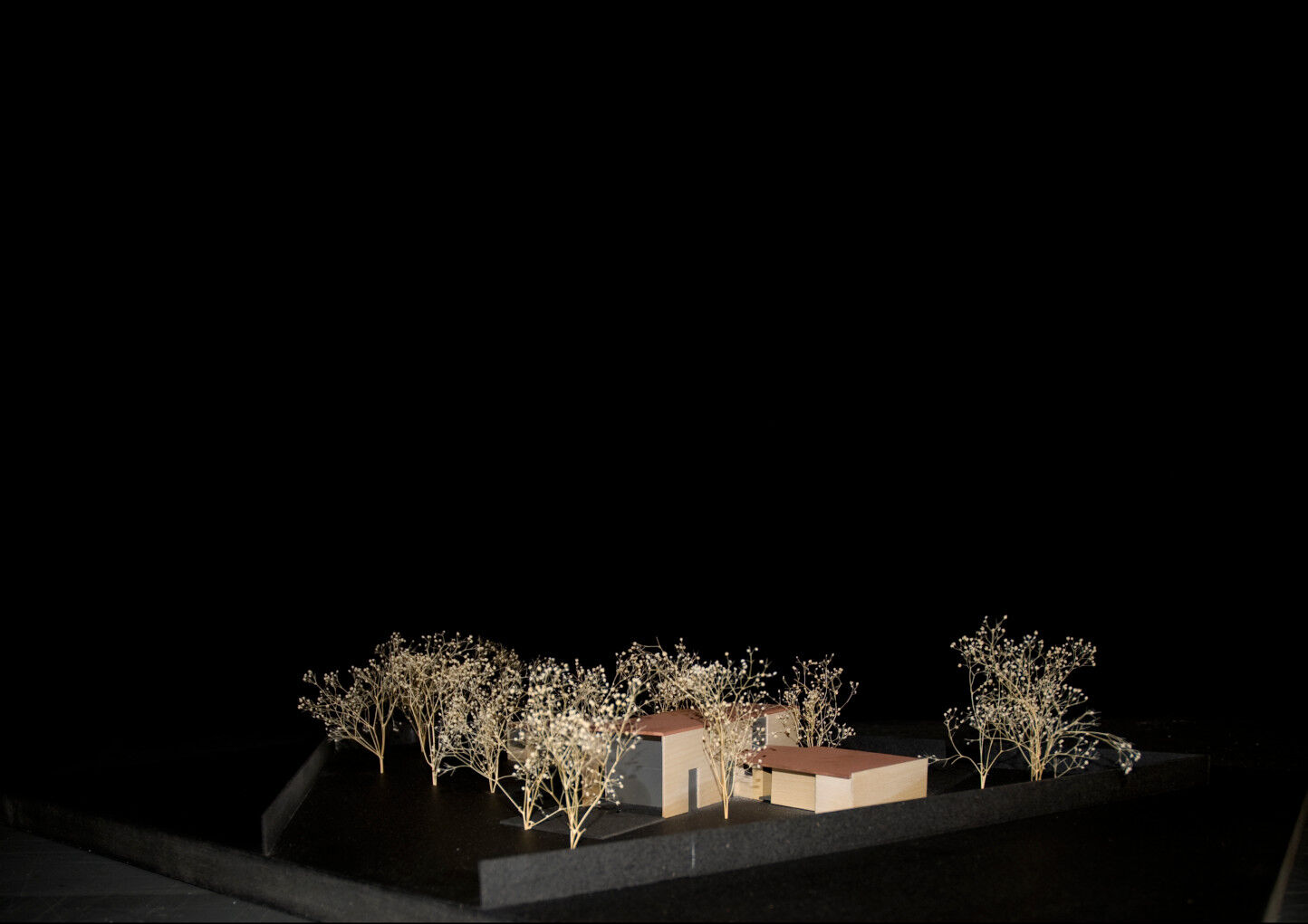 Wood model