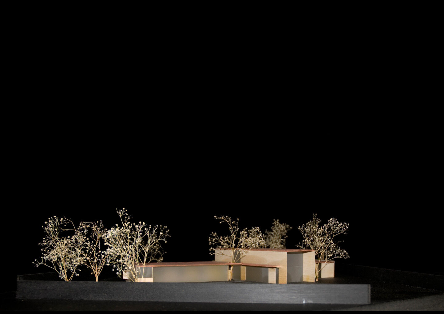 Wood model