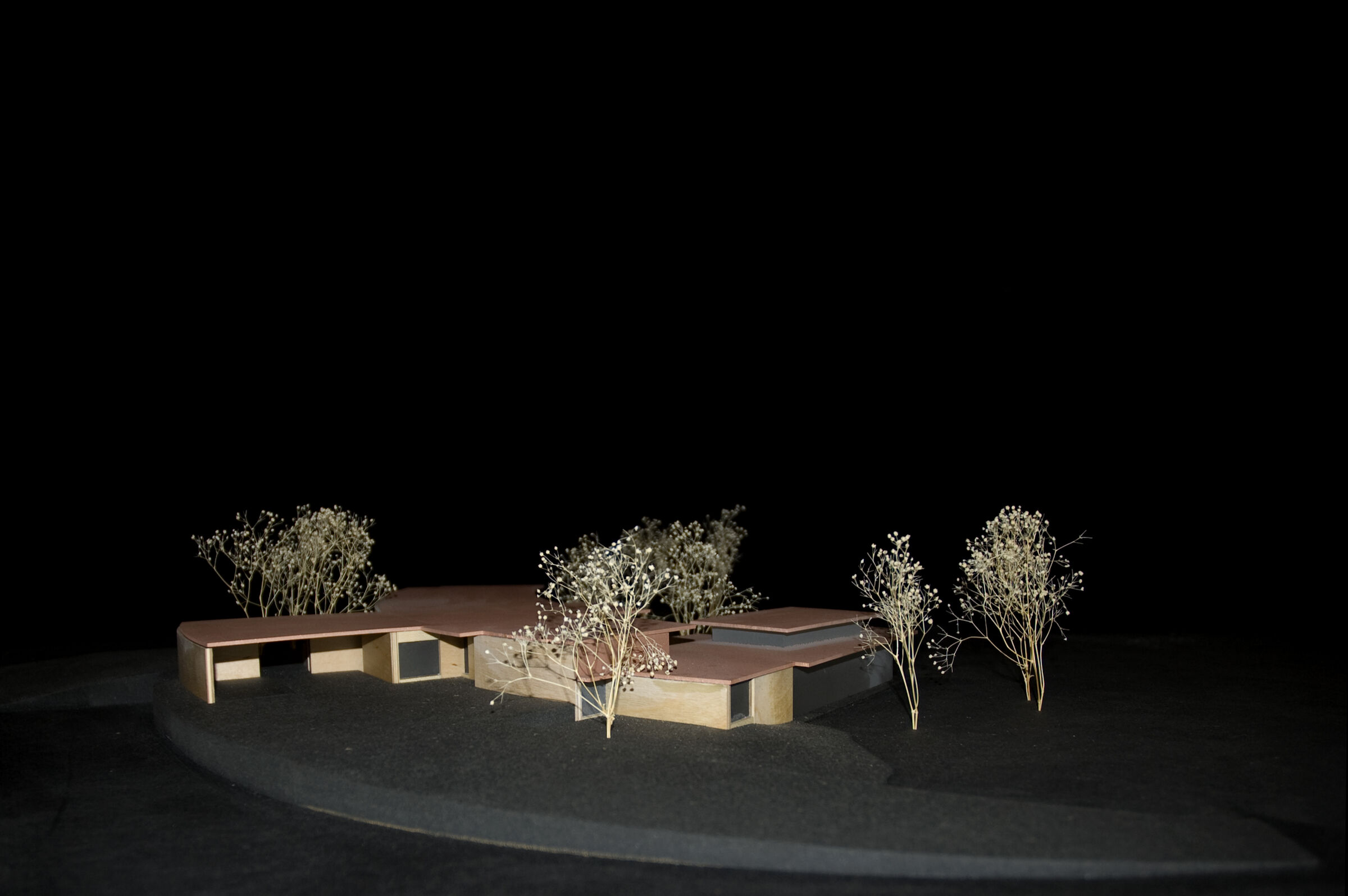 Wood model