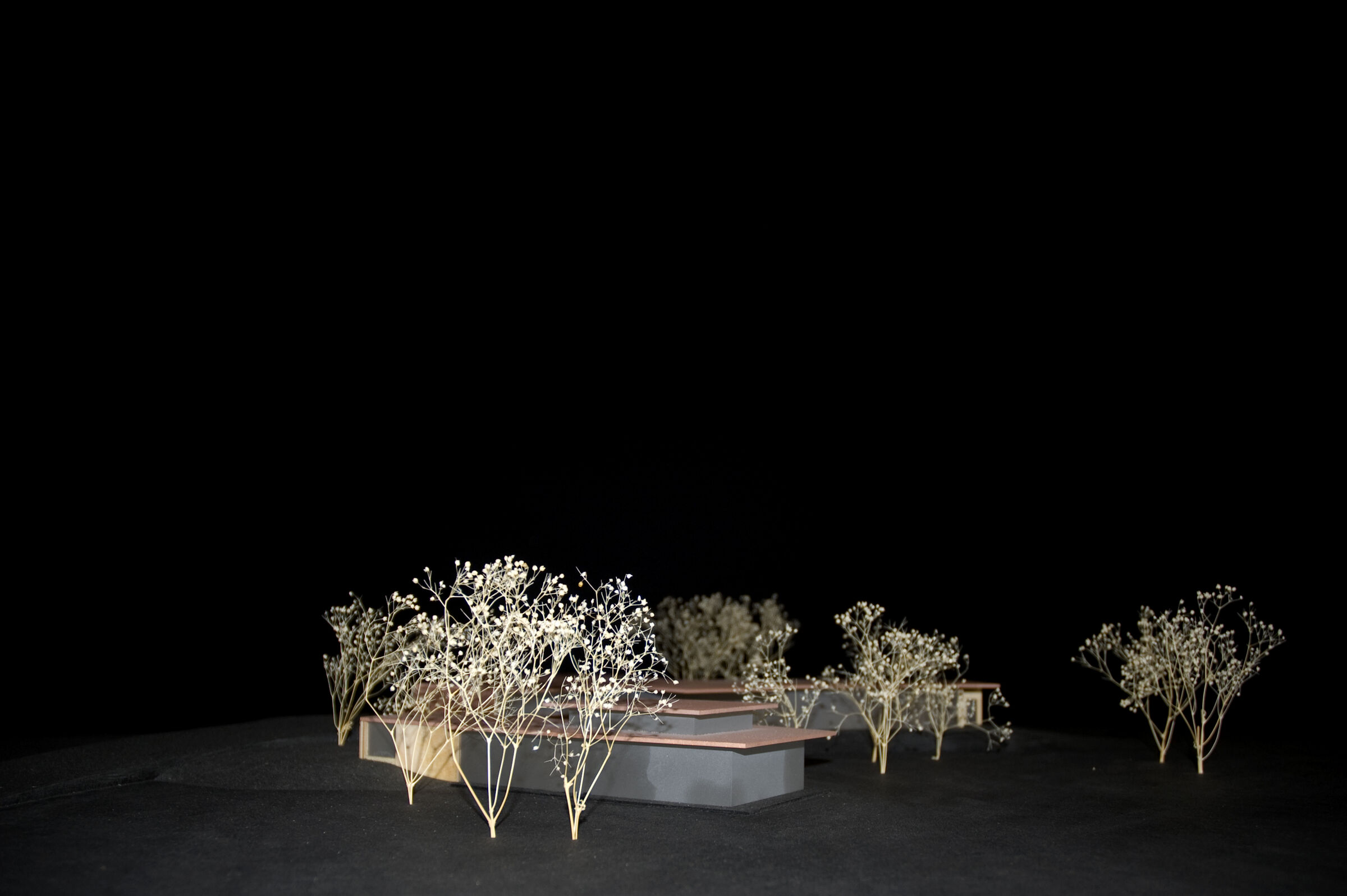 Wood model