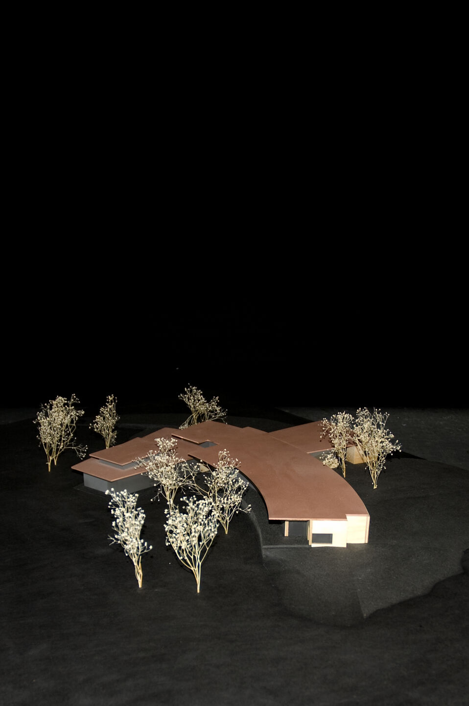 Wood model