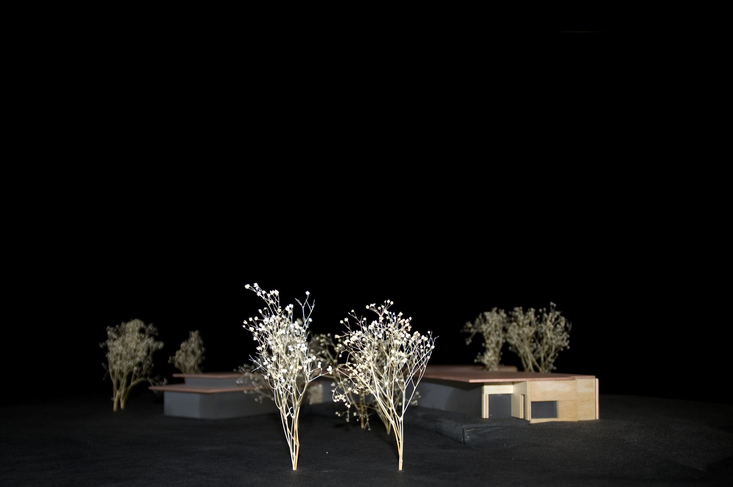 Wood model