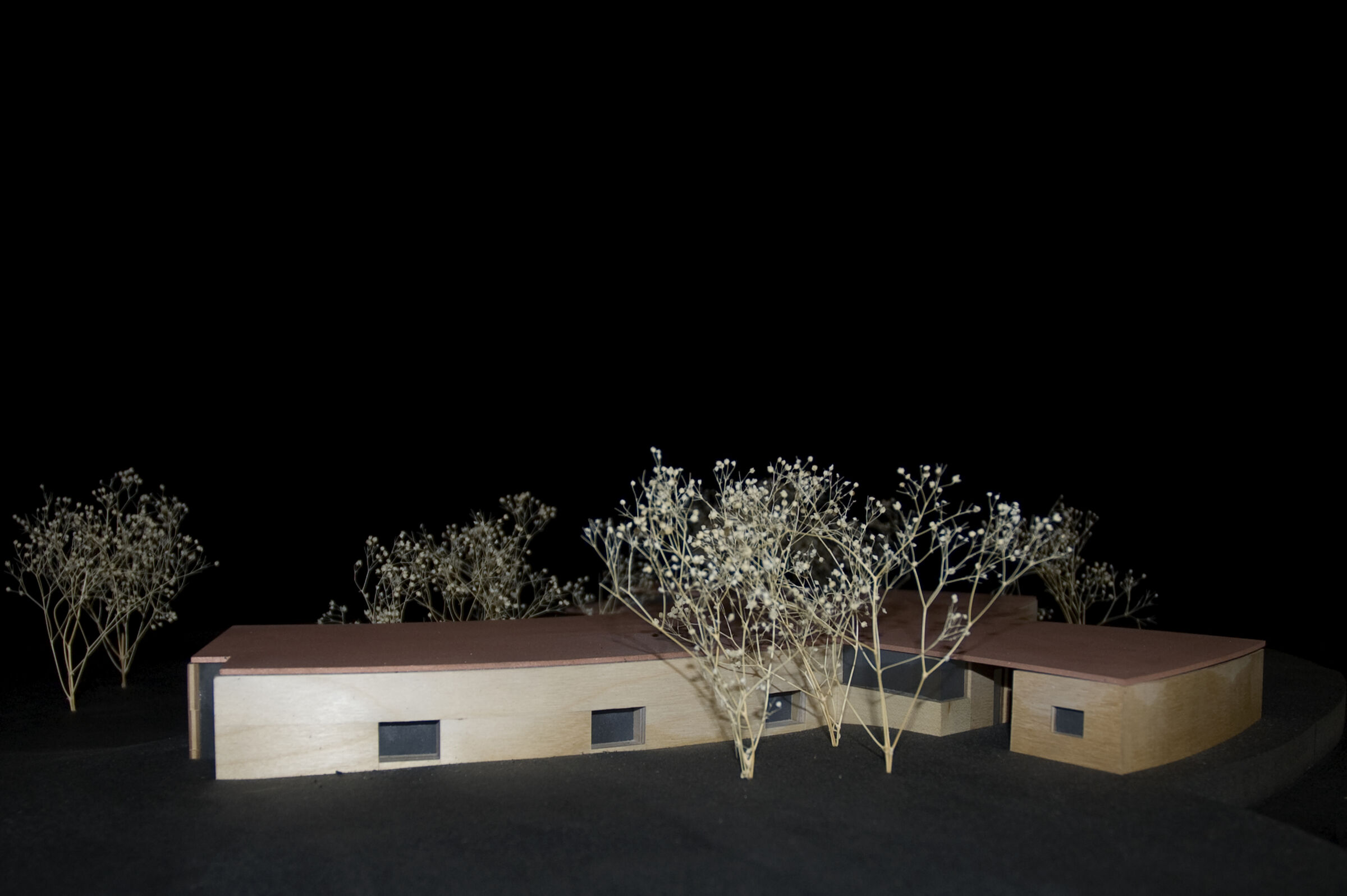Wood model