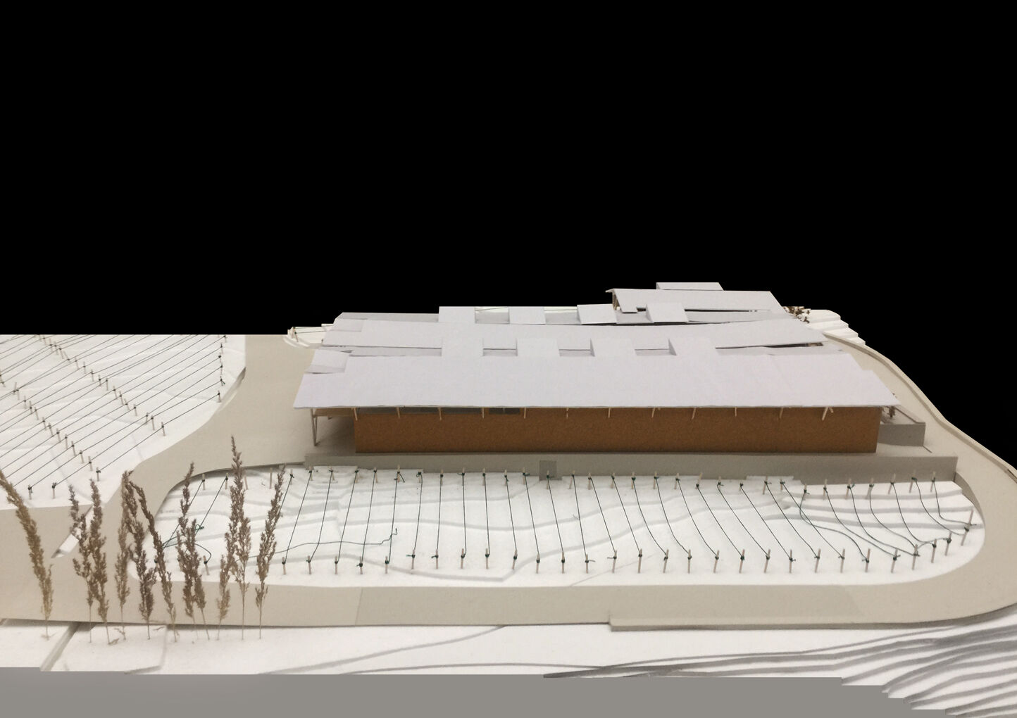 Card study model