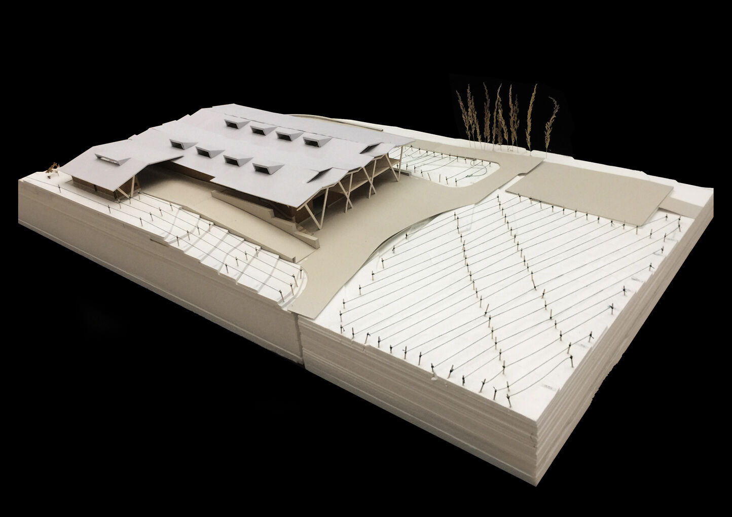 Card study model