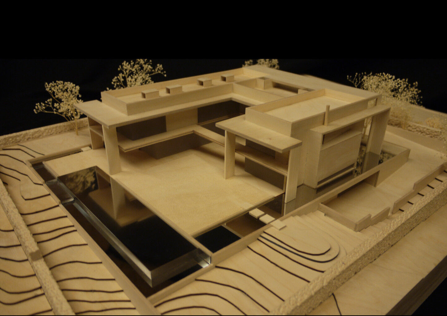 Wood model