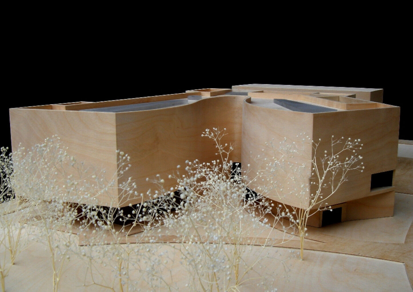 Wood model