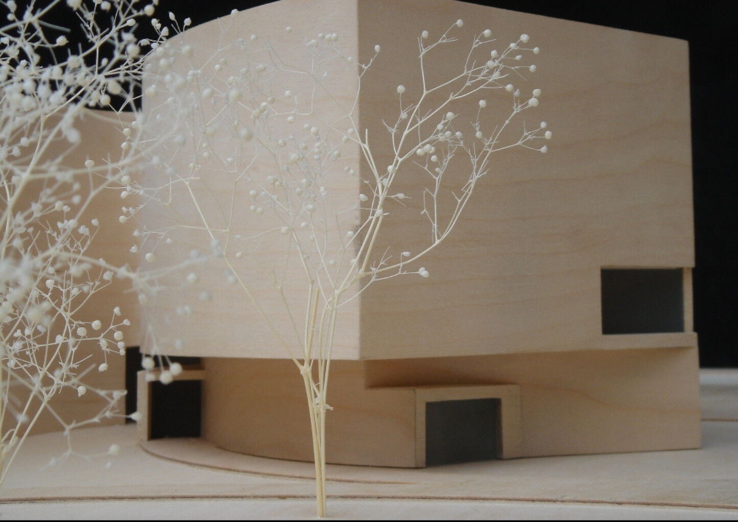 Wood model