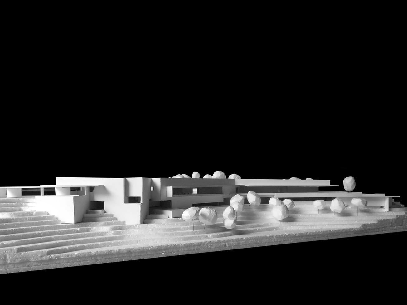 Card study model
