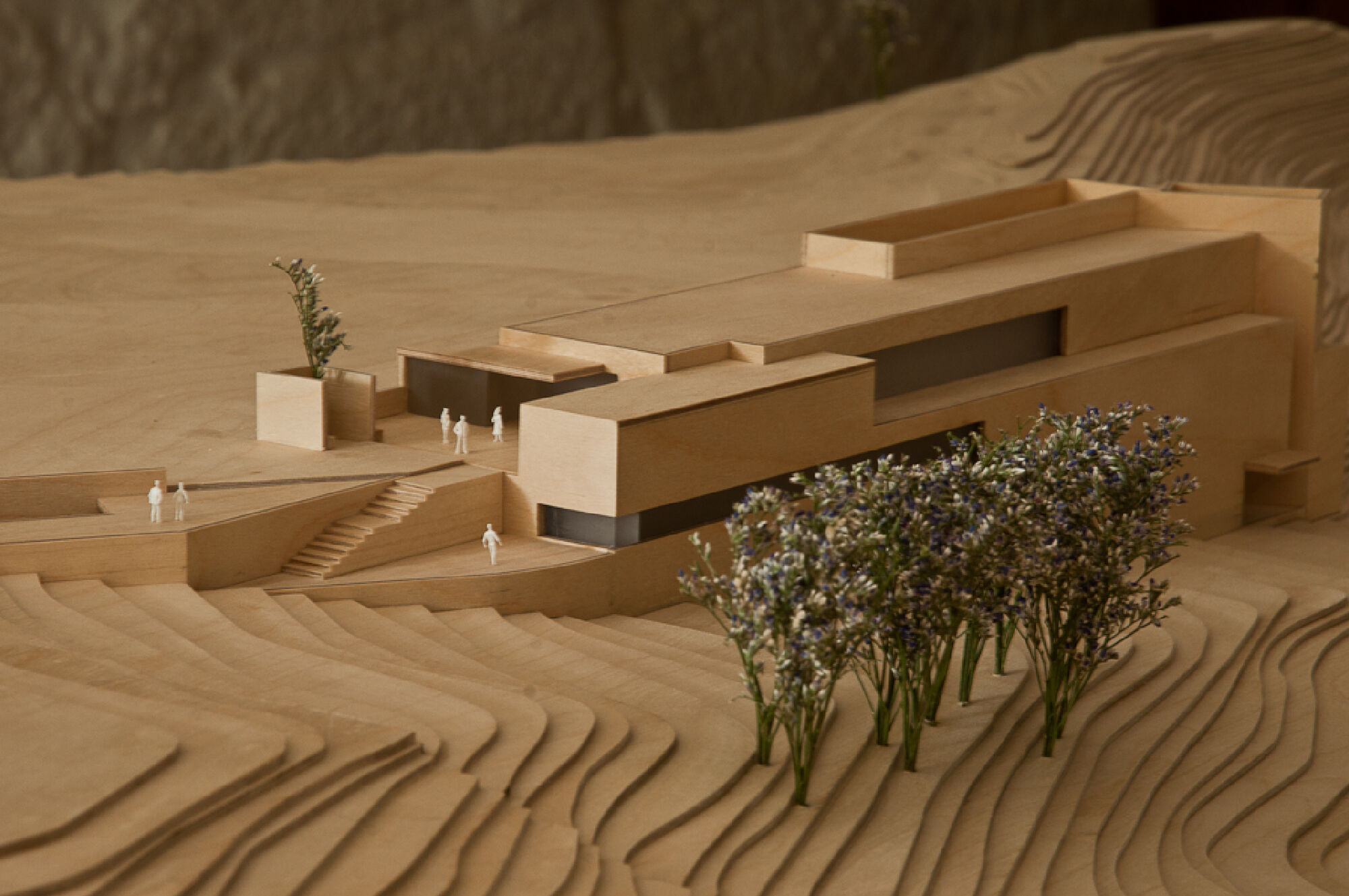 Wood model