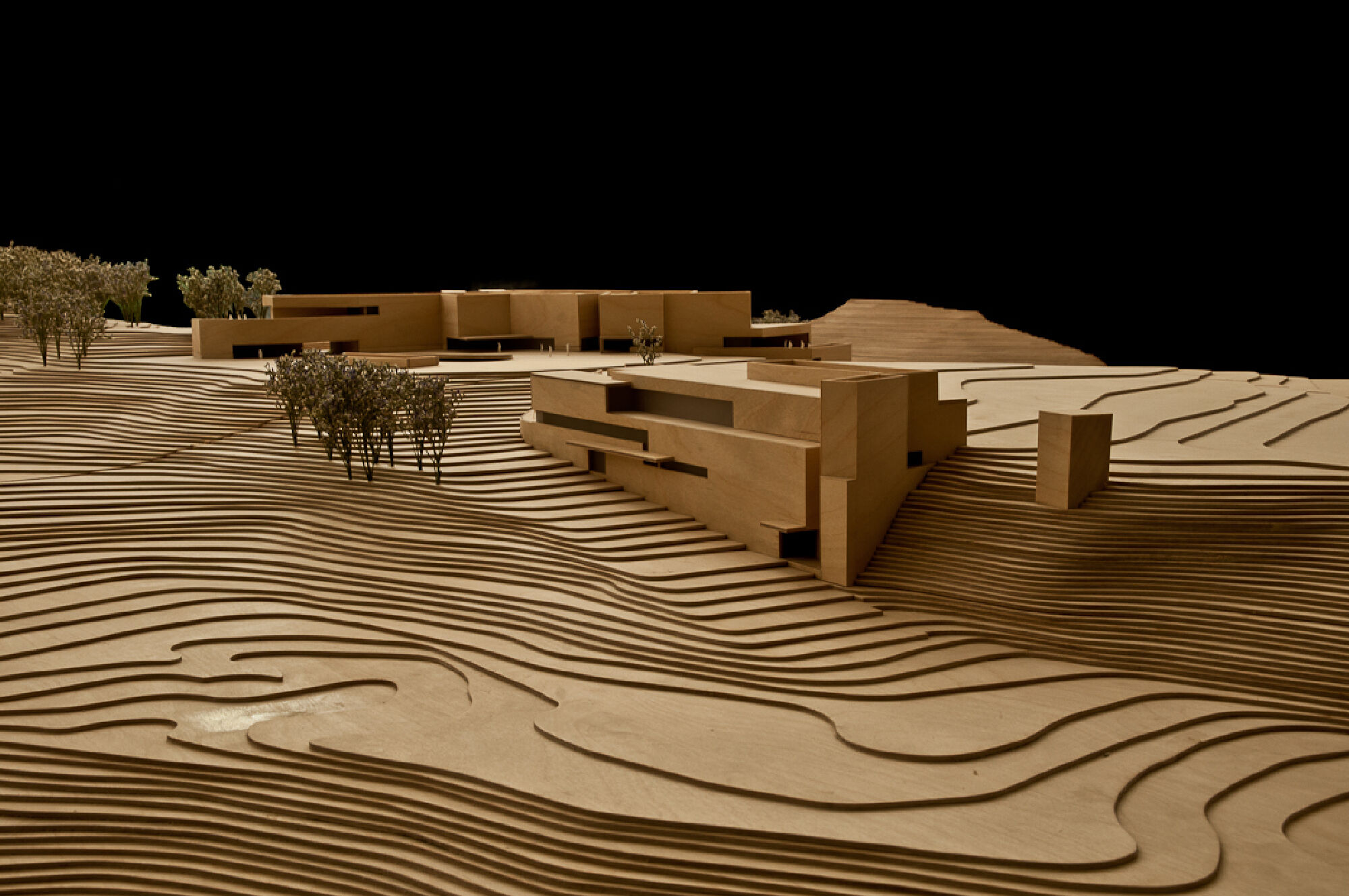 Wood model