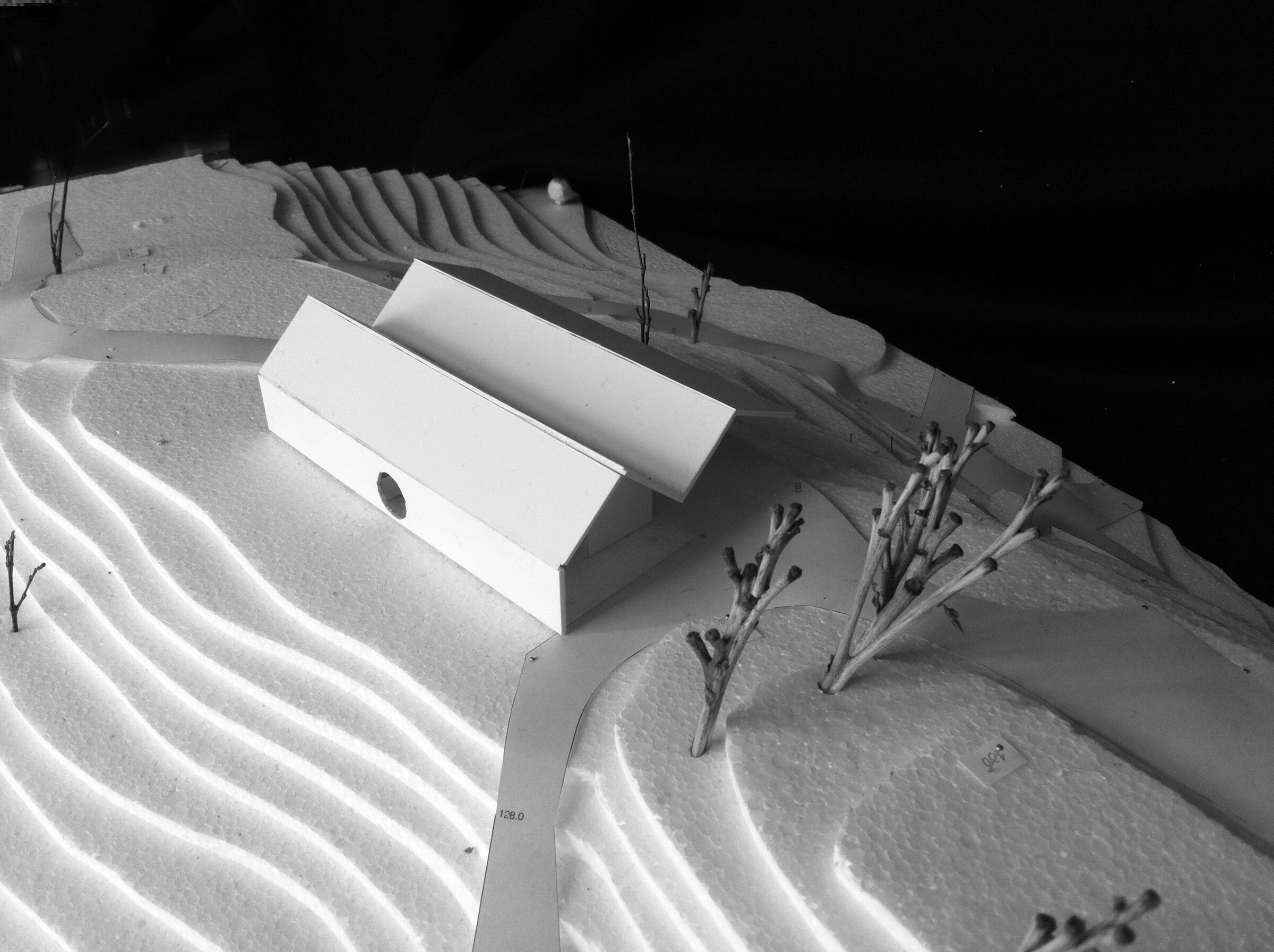 Card study model