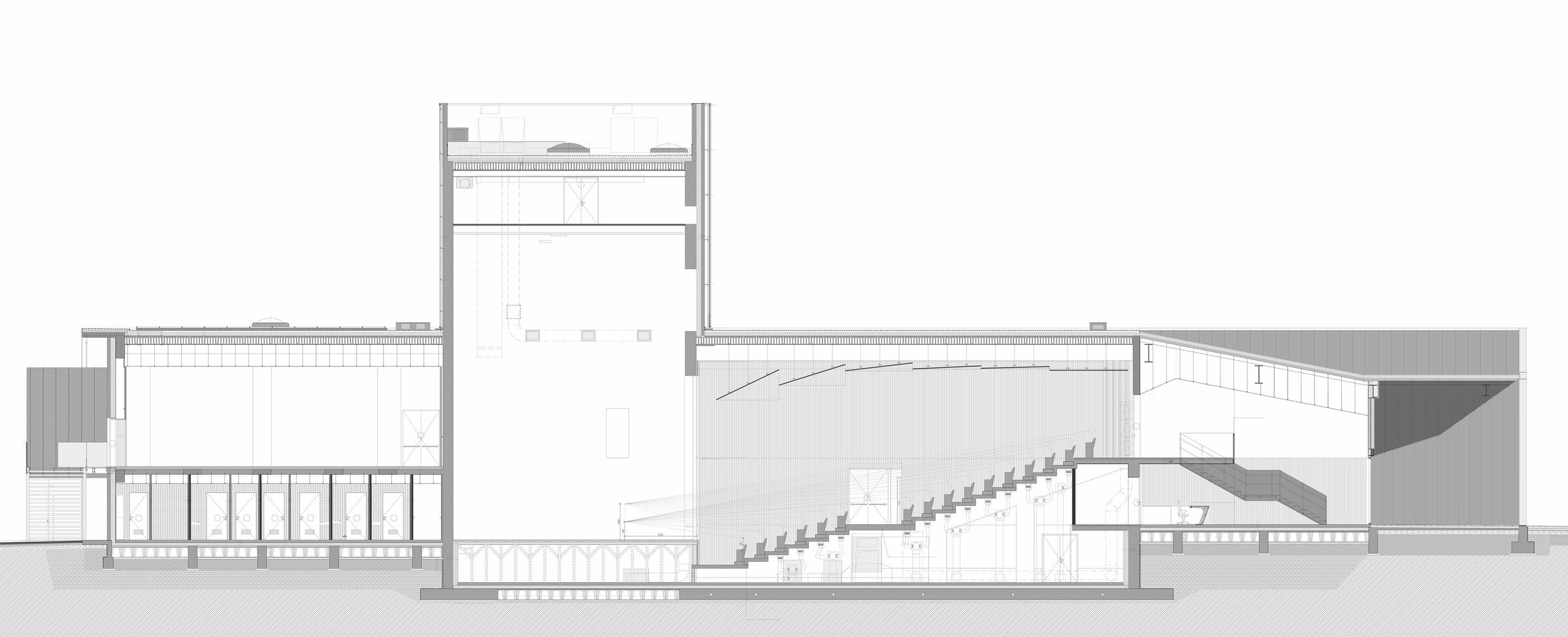 Longitudinal section