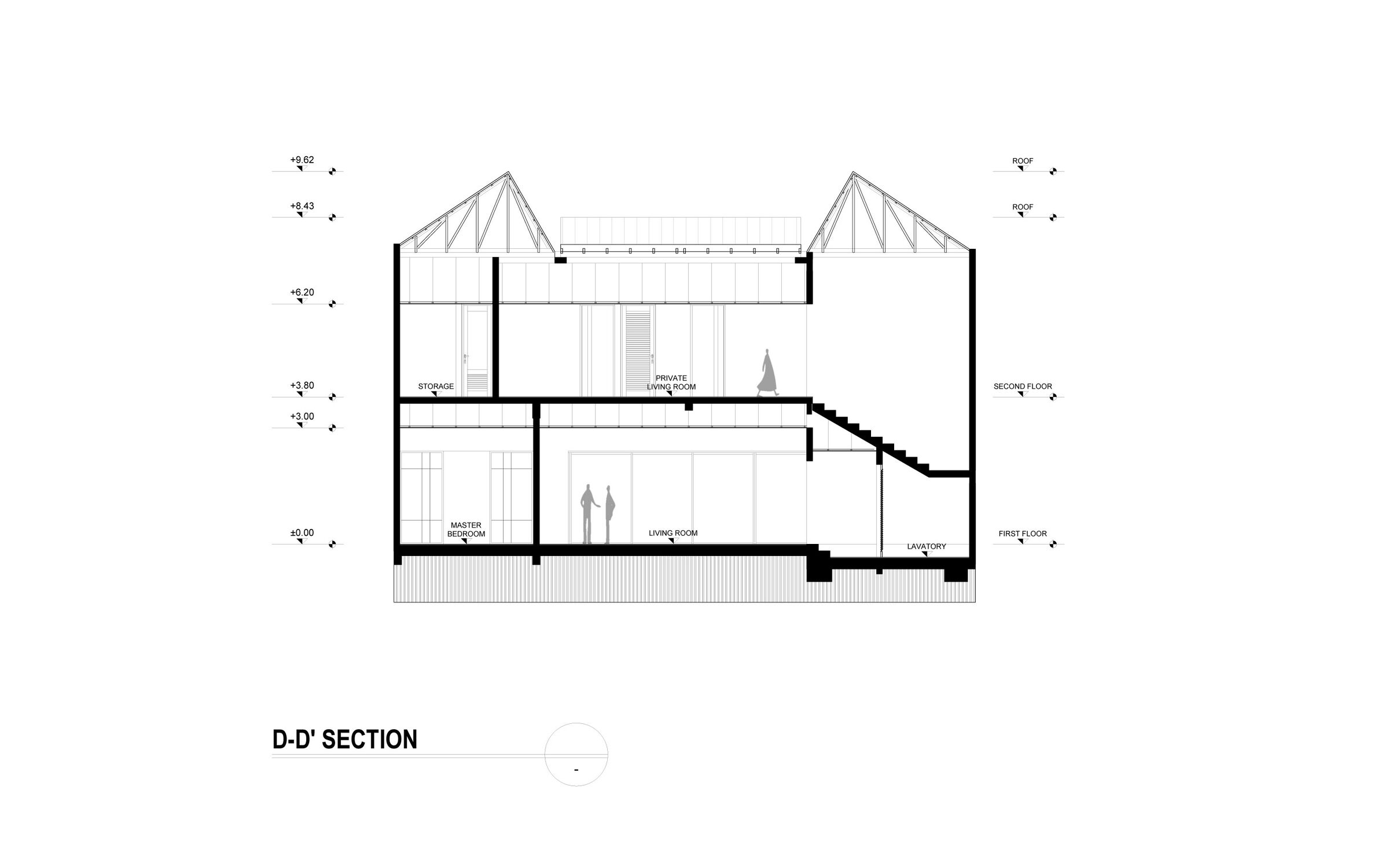 Section DD'