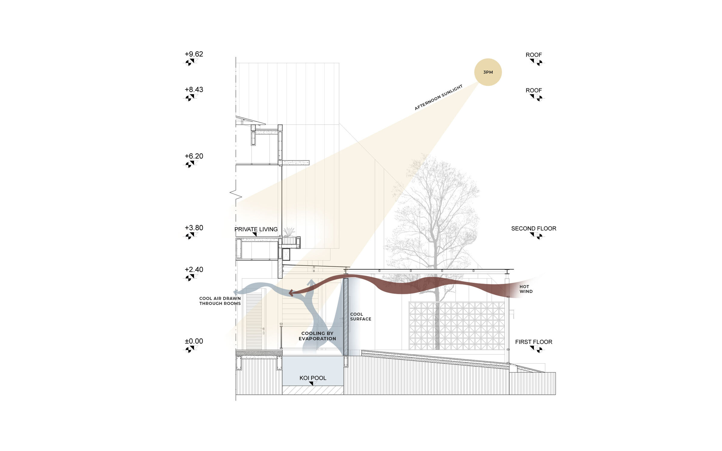Diagramatic section