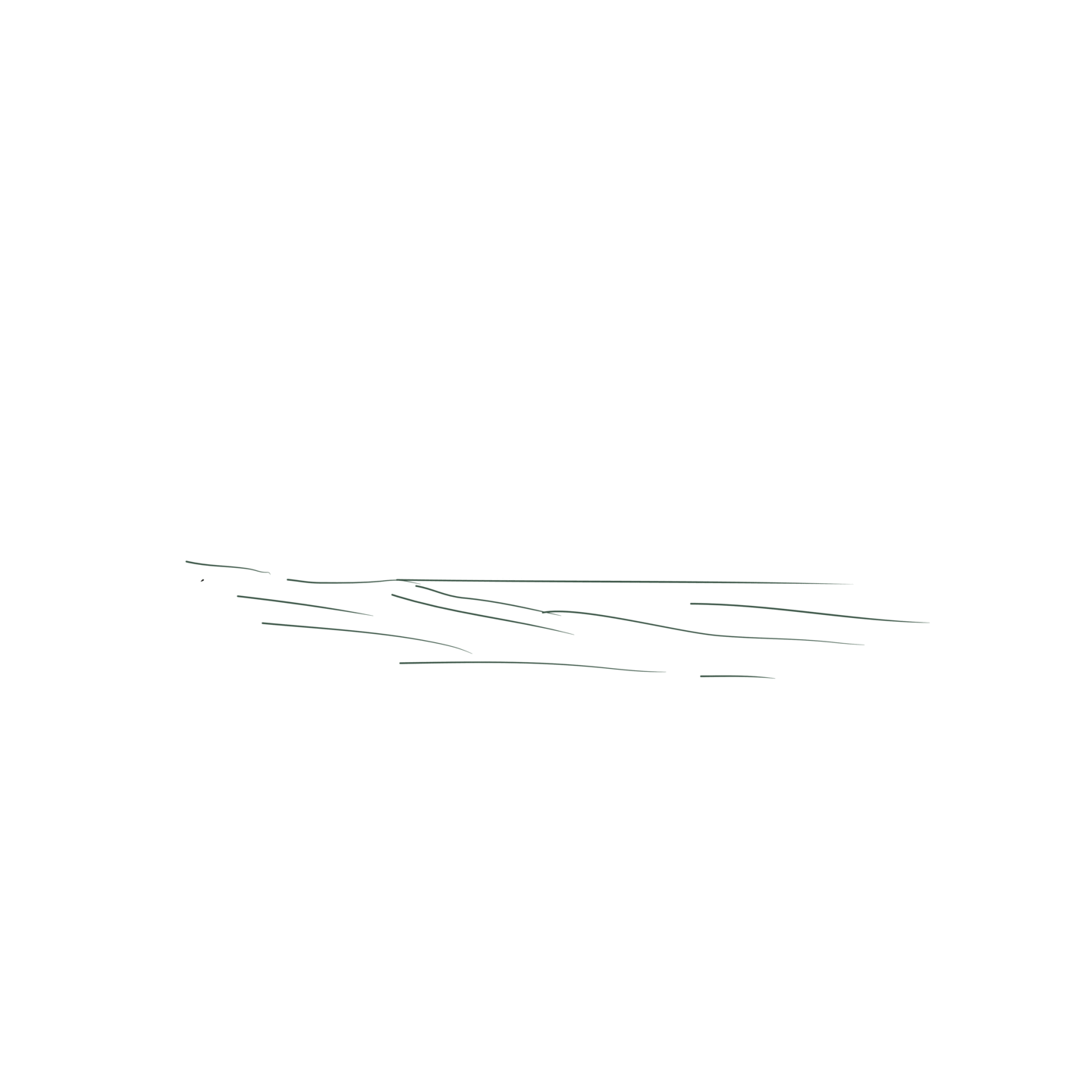 First sketch