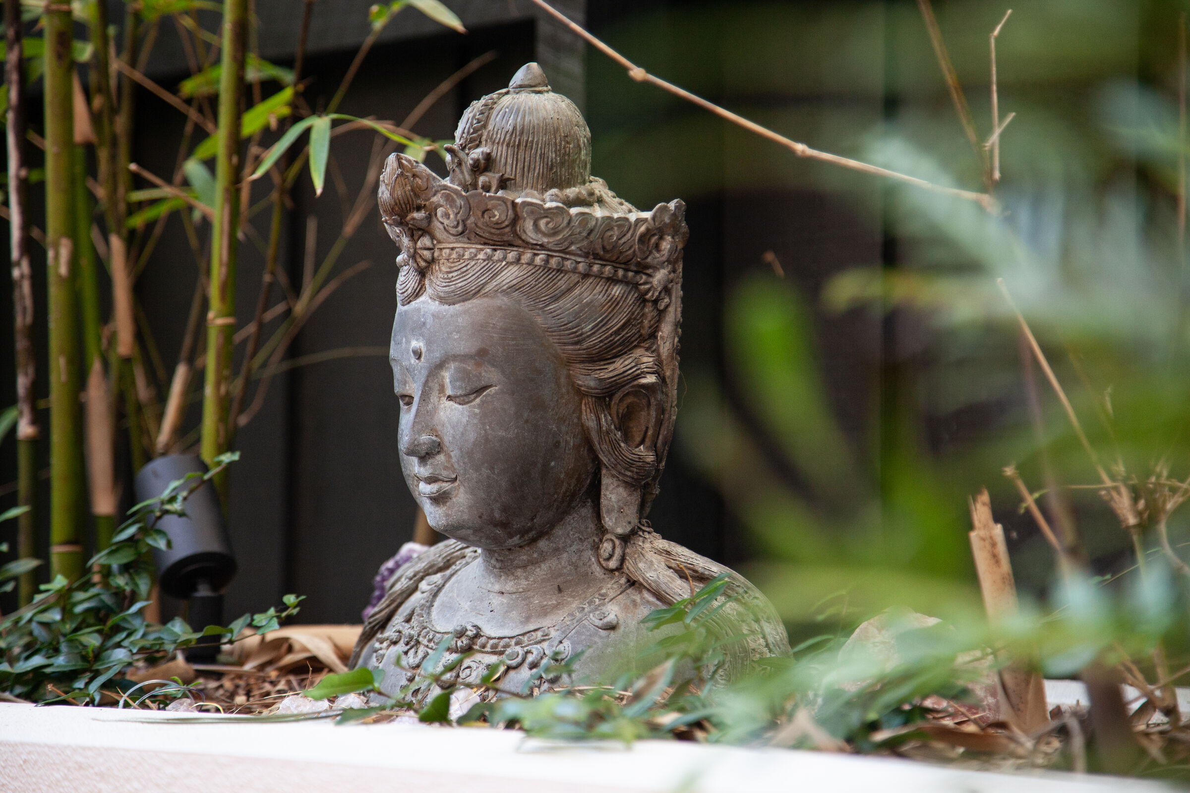 Eastern Suburbs Garden Design Sydney NSW