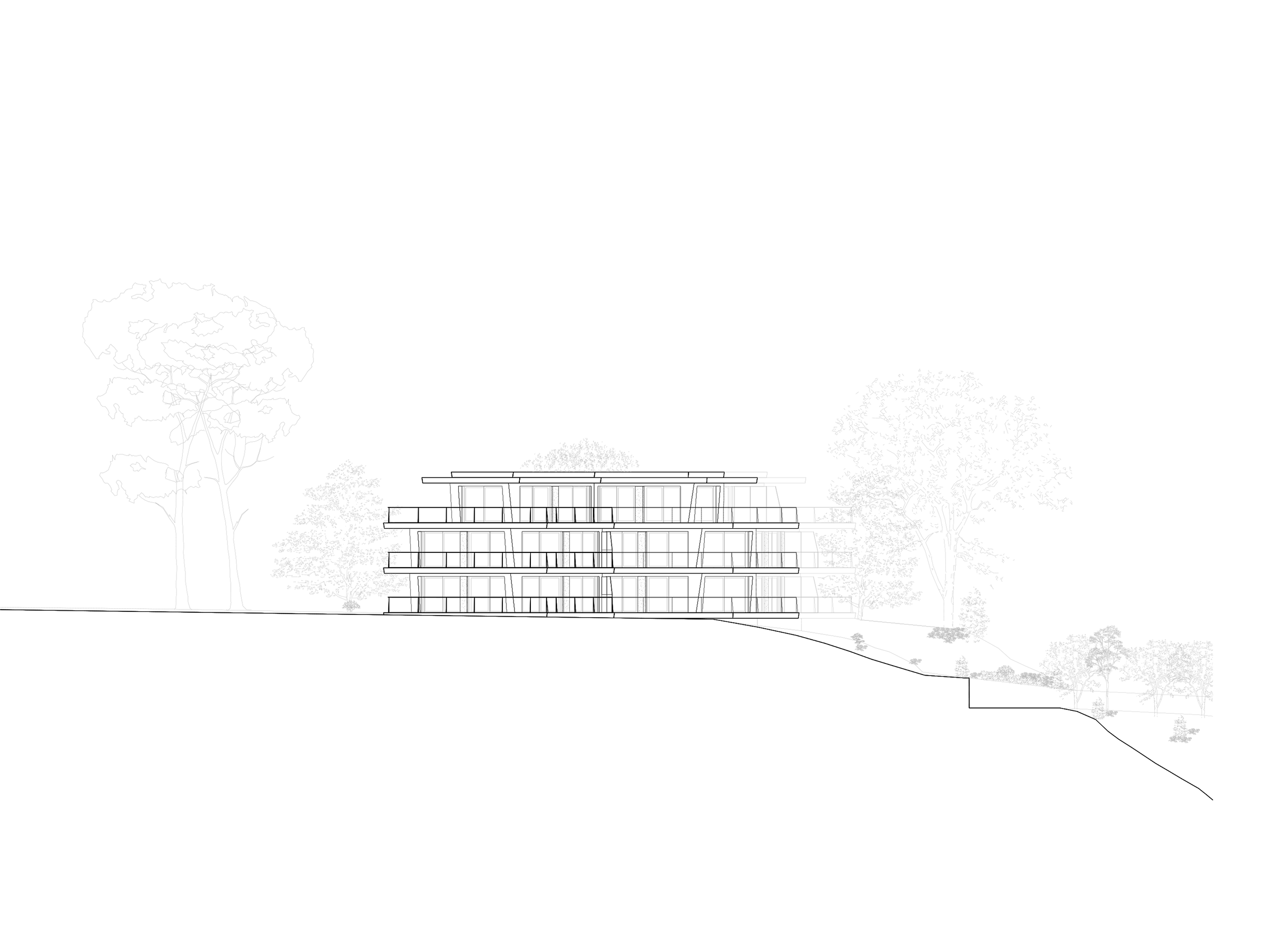 Elevation 01