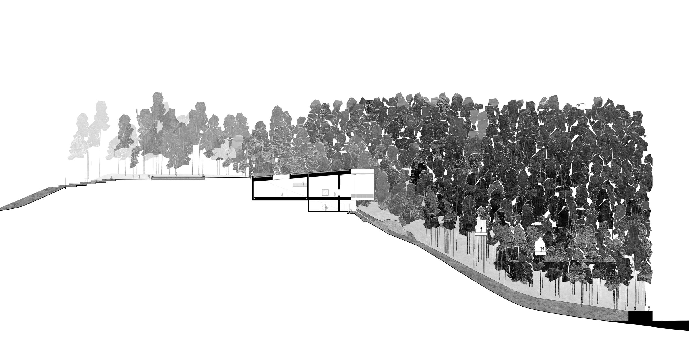 Schematic section