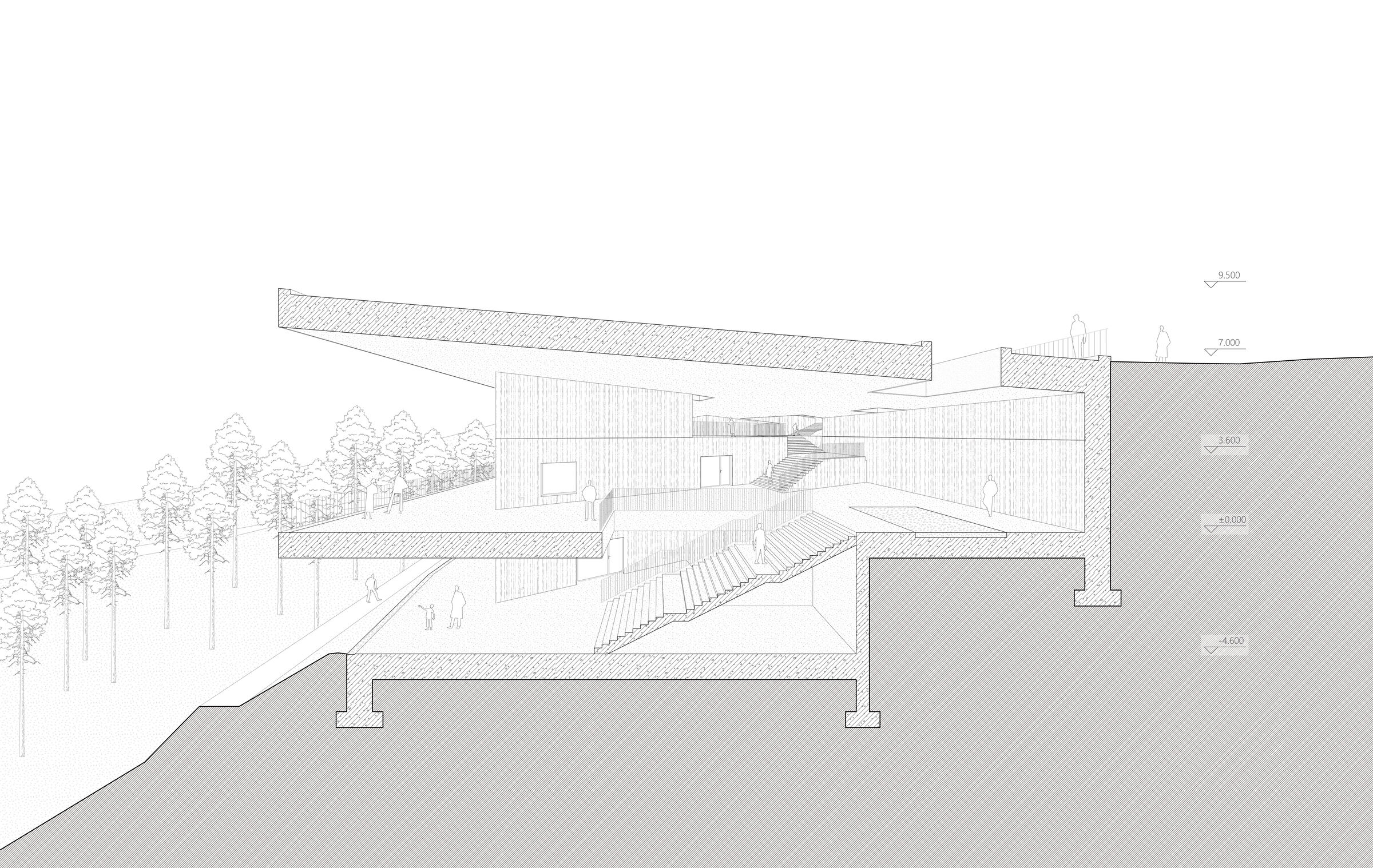 Section Perspective