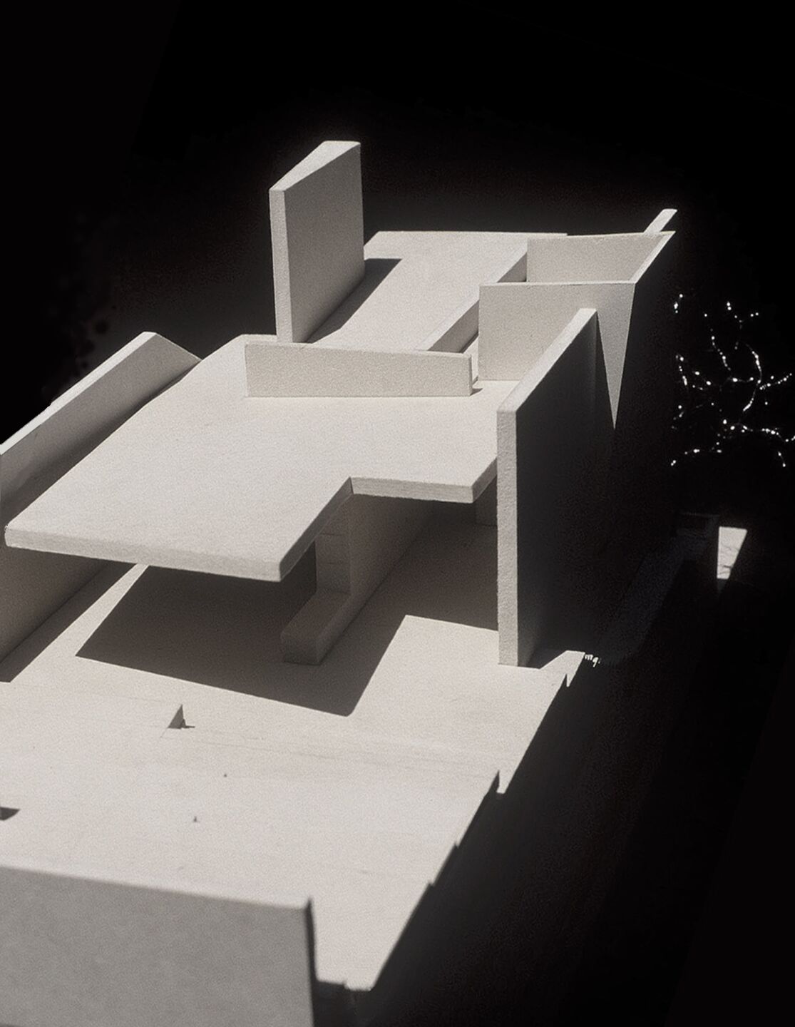 Study Model