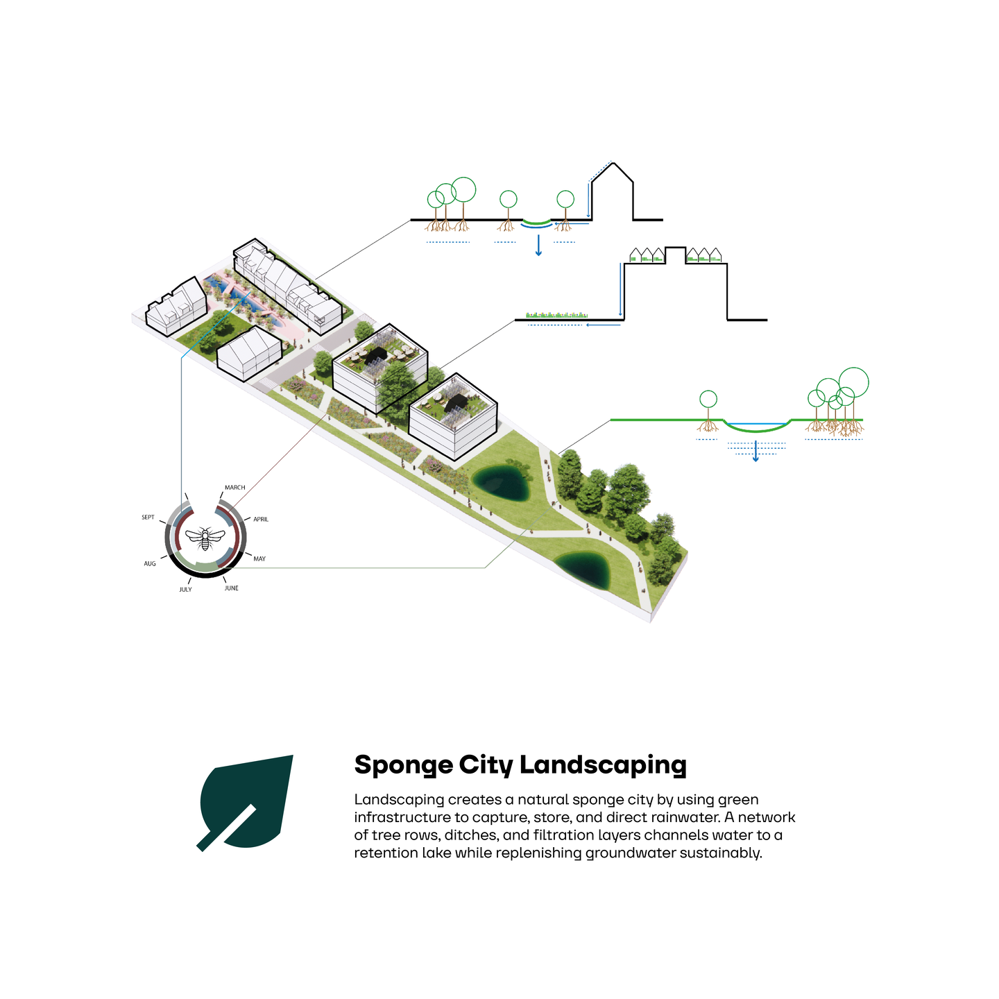 Landscaping Concept