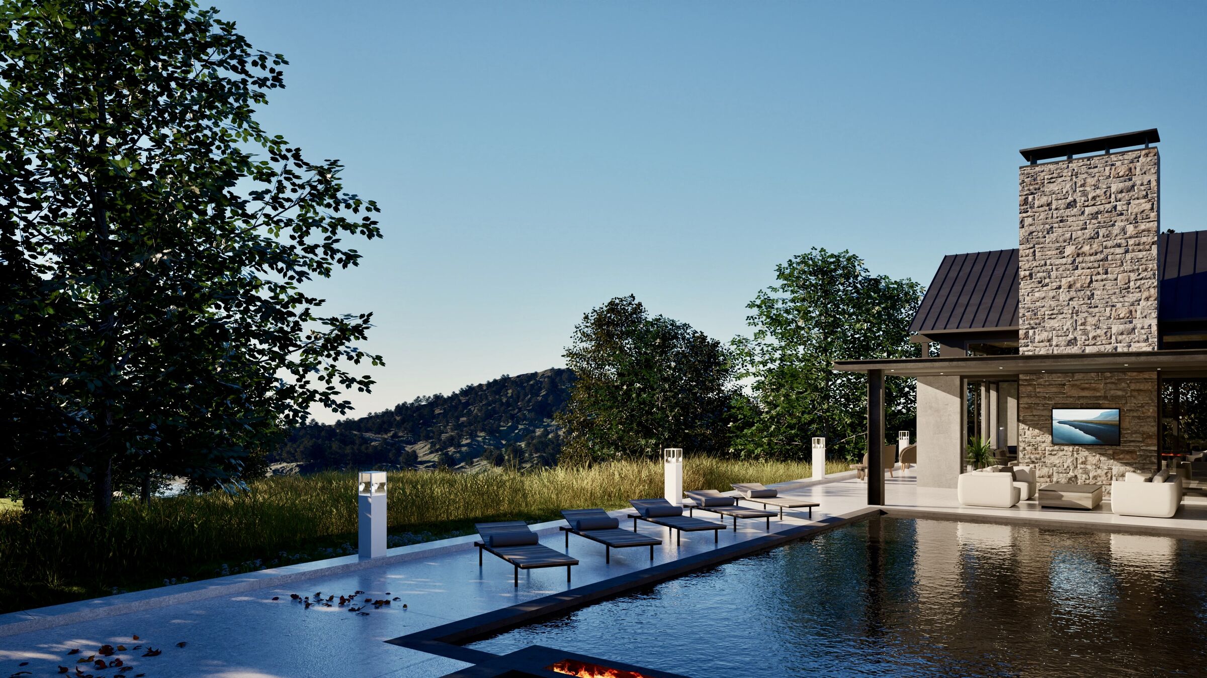 Pool and Patio