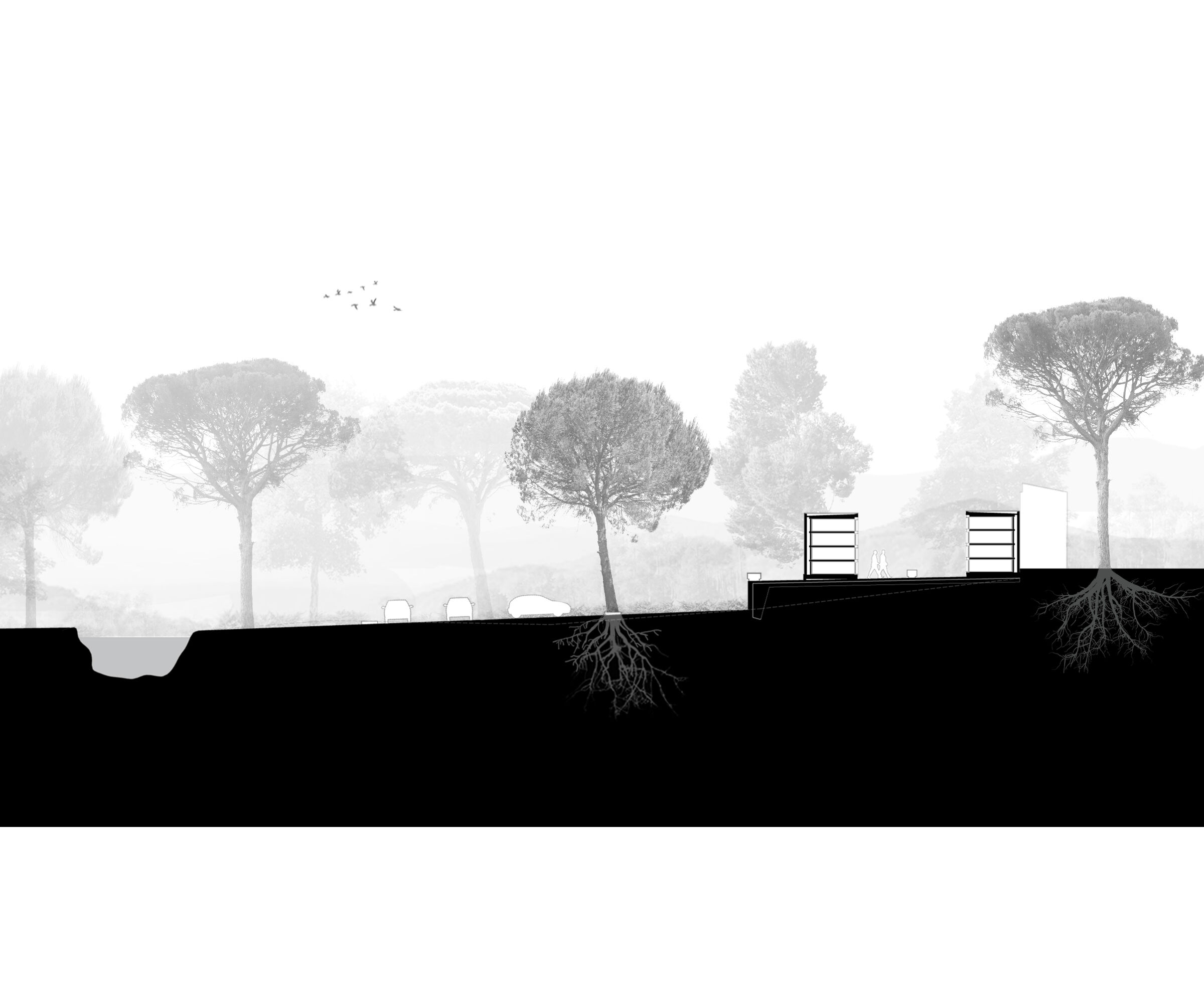Section
