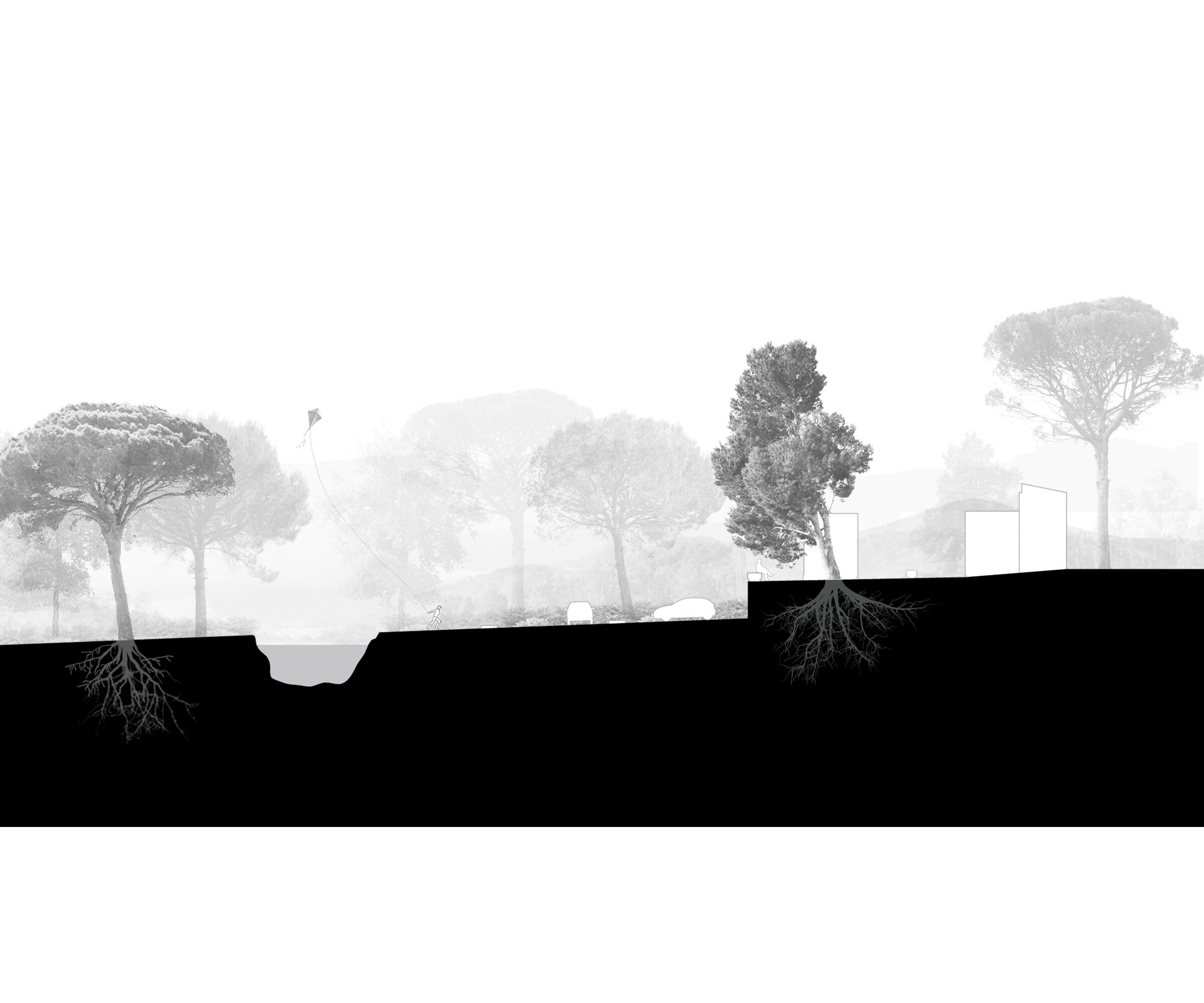 Elevation