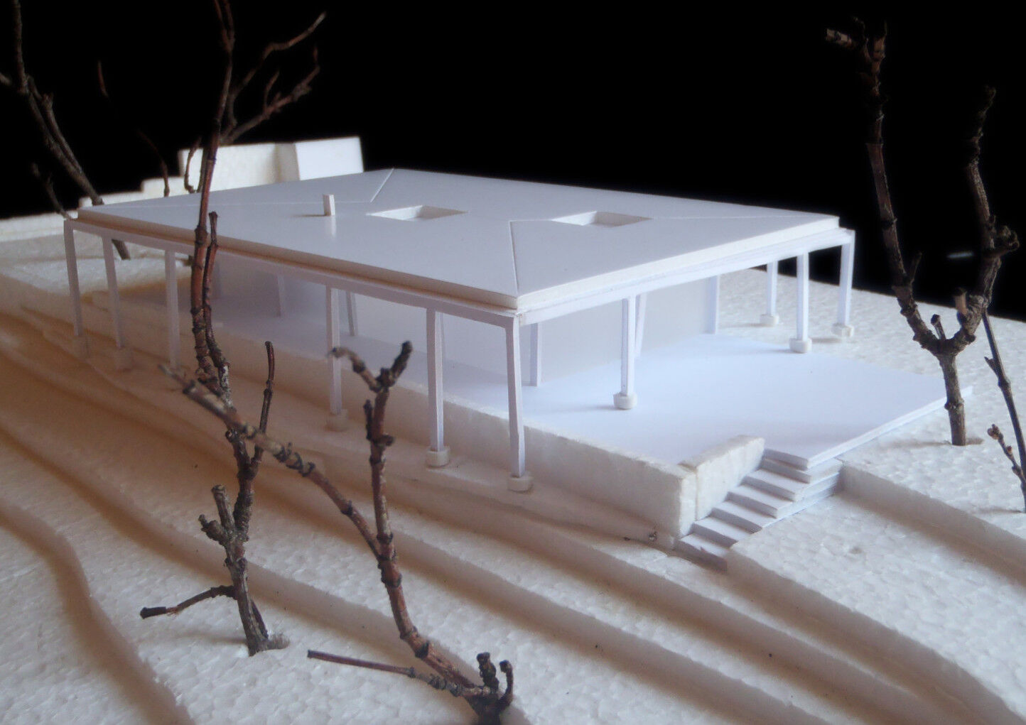 Card study model