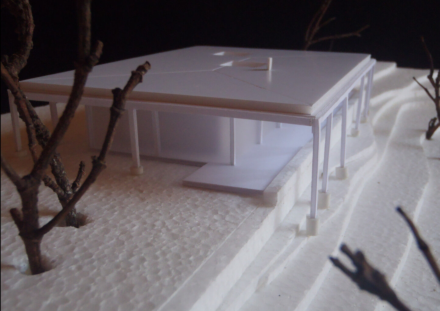 Card study model