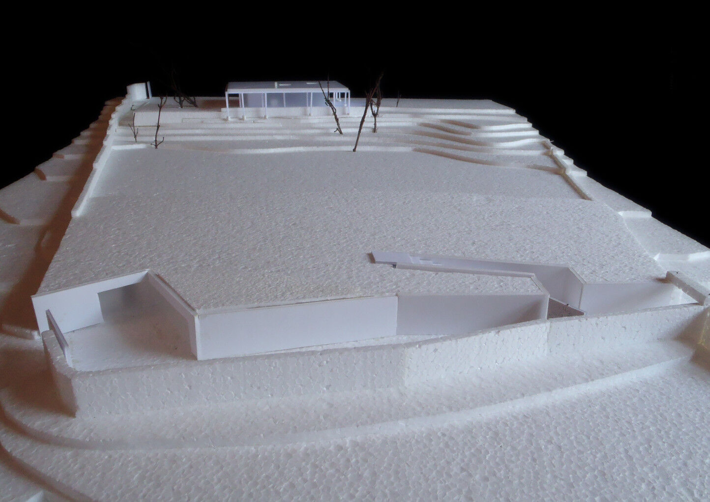 Card study model